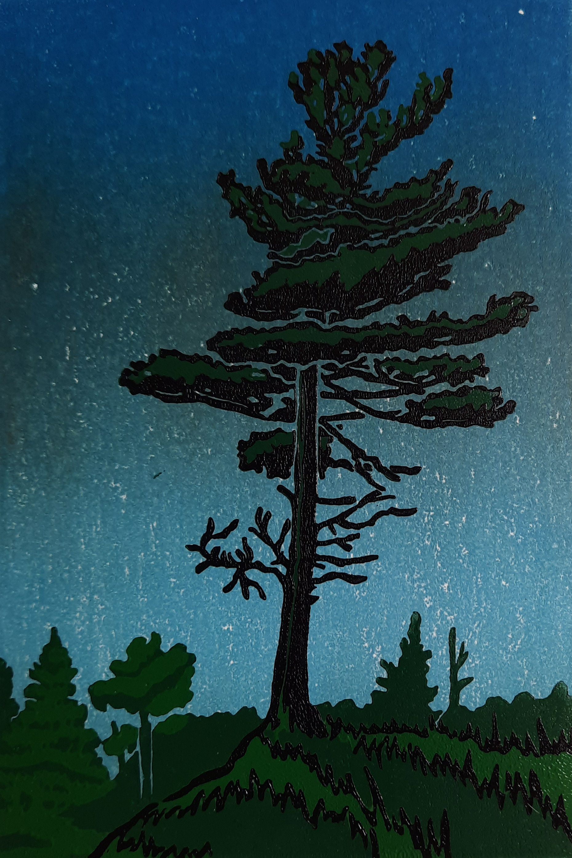 Northern Pine 4/8 - Sold