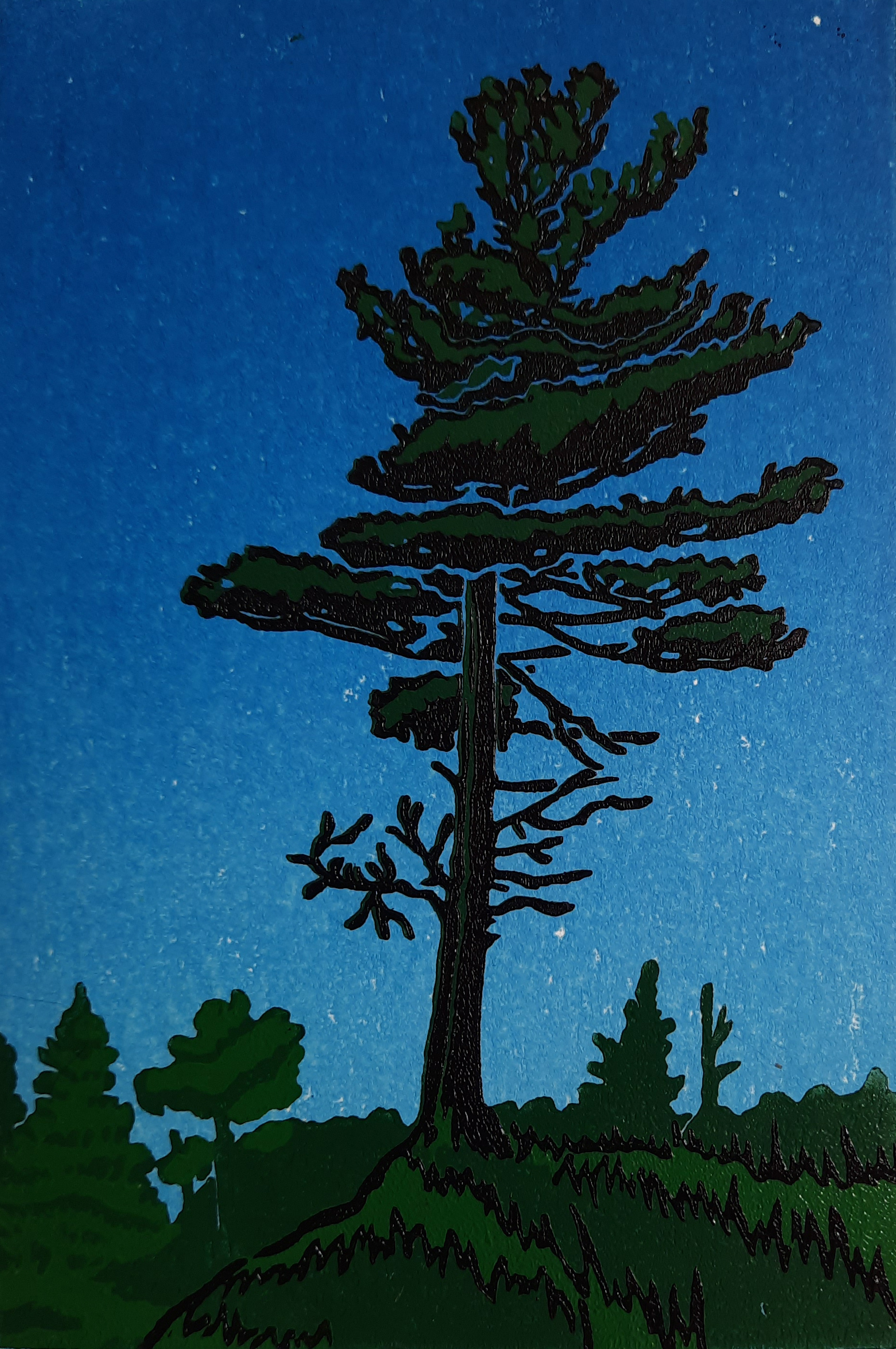 Northern Pine 3/8 - Sold