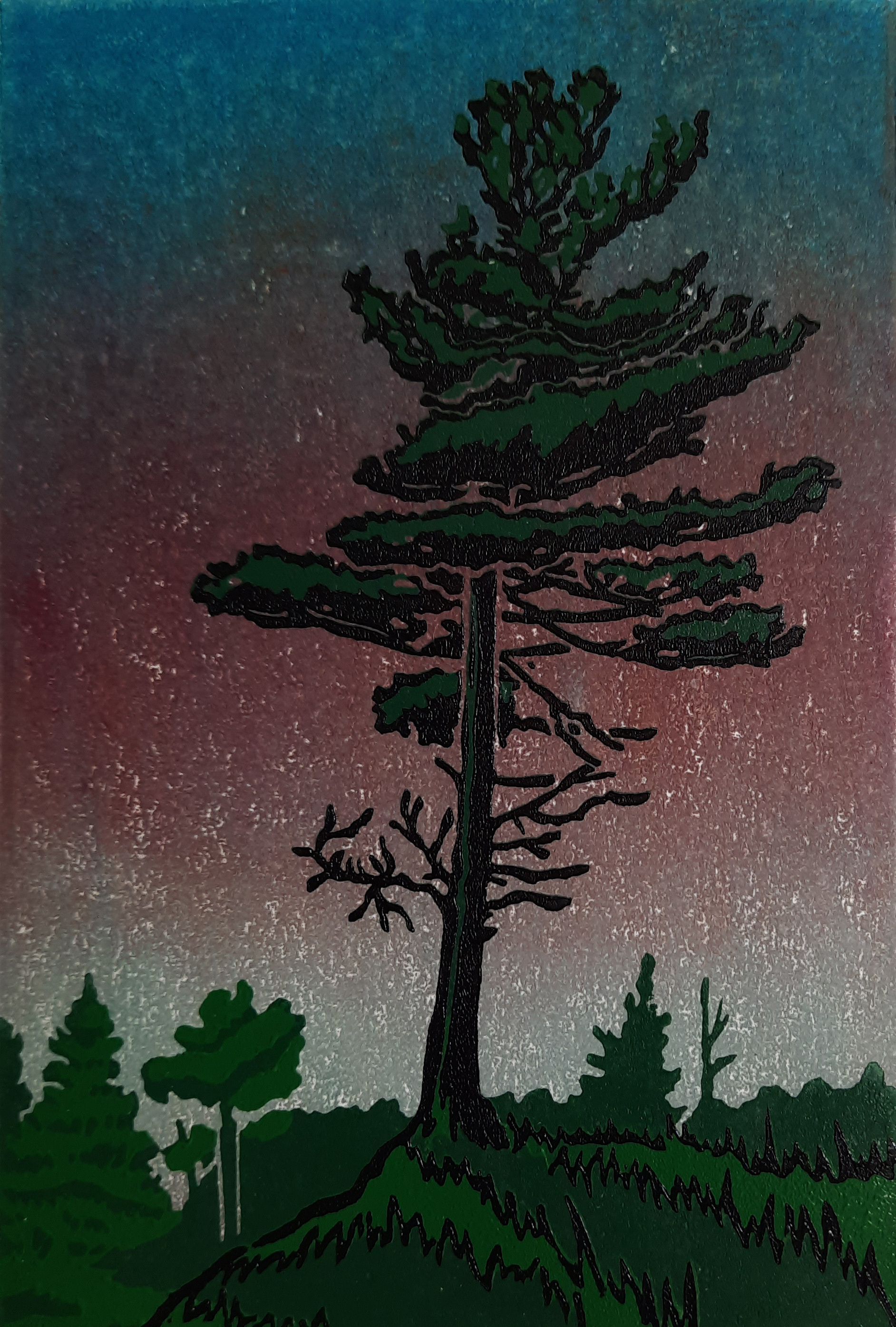 Northern Pine 8/8 - Sold