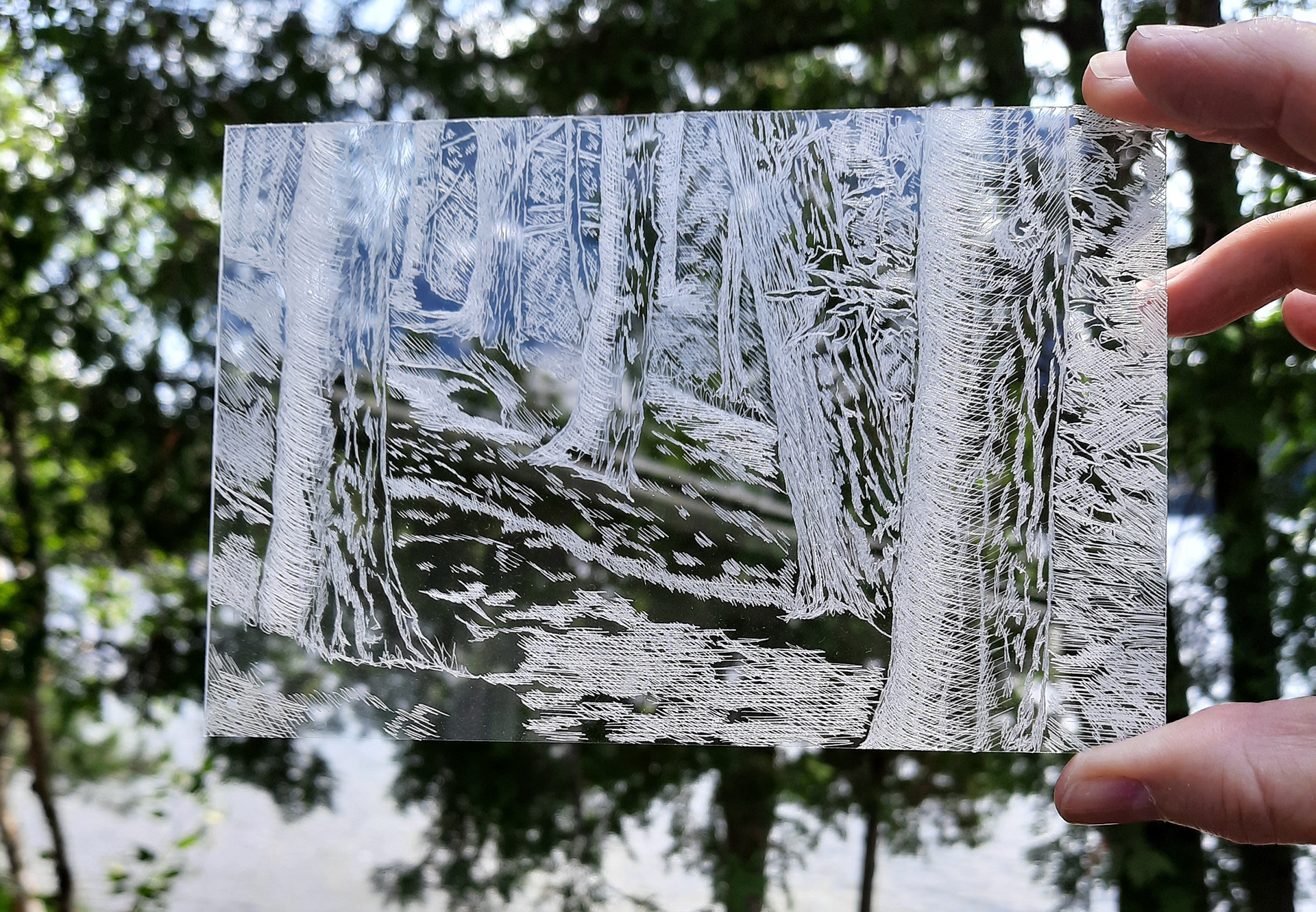 Into the Forest print plate