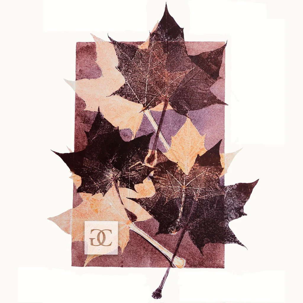 Crimson King Maple #1 