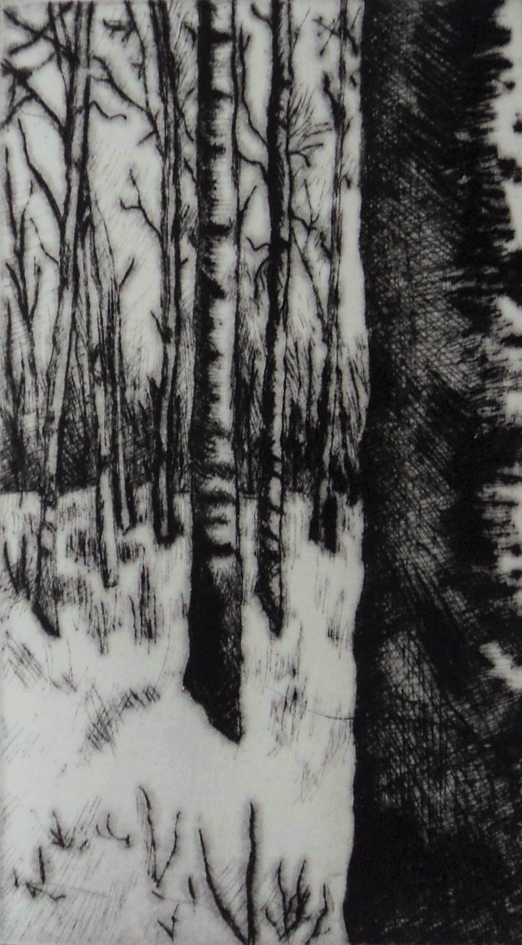Birch Forest 2 - available