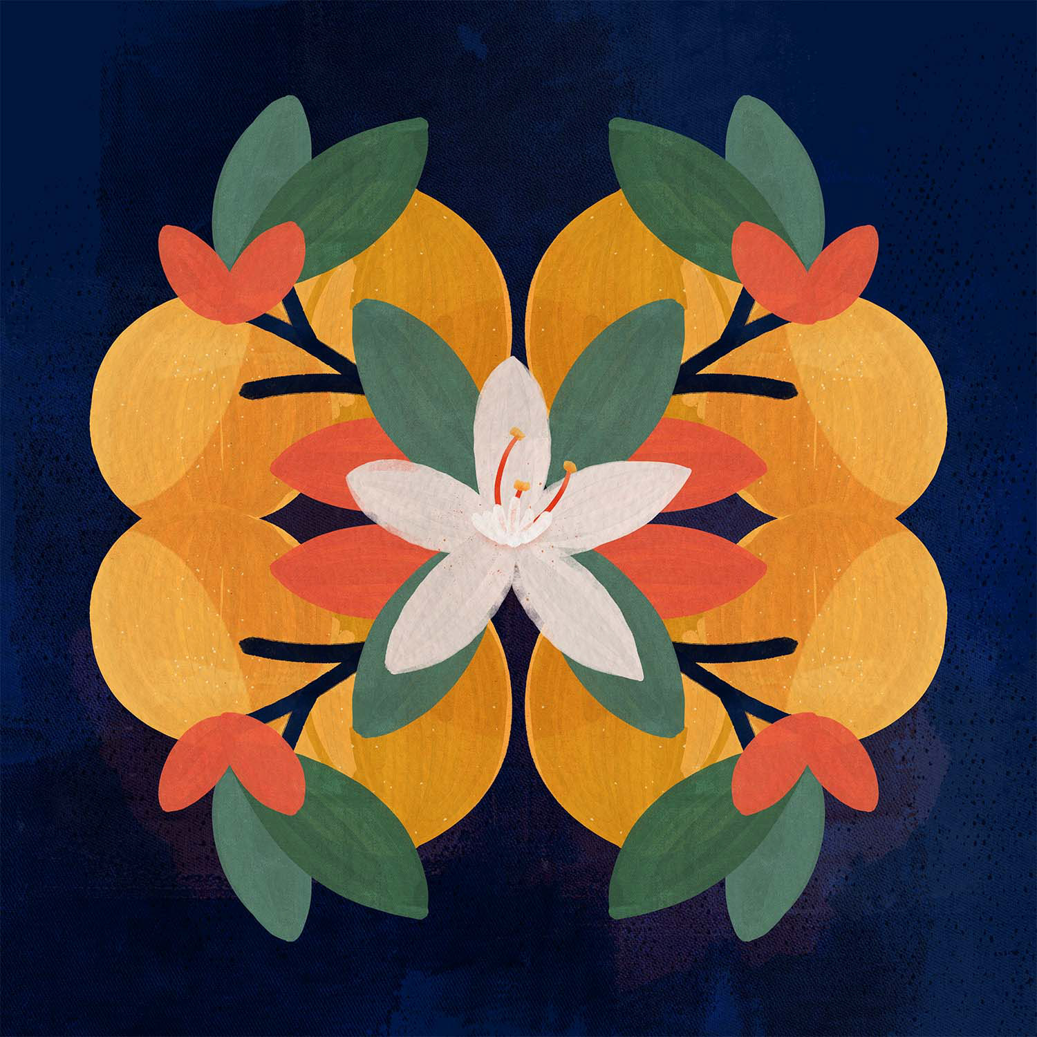 Graphic: a gouache painting of oranges and an orange tree blossom