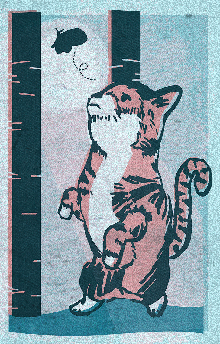 Graphic: an illustration of a cat looking at a butterfly flying above him
