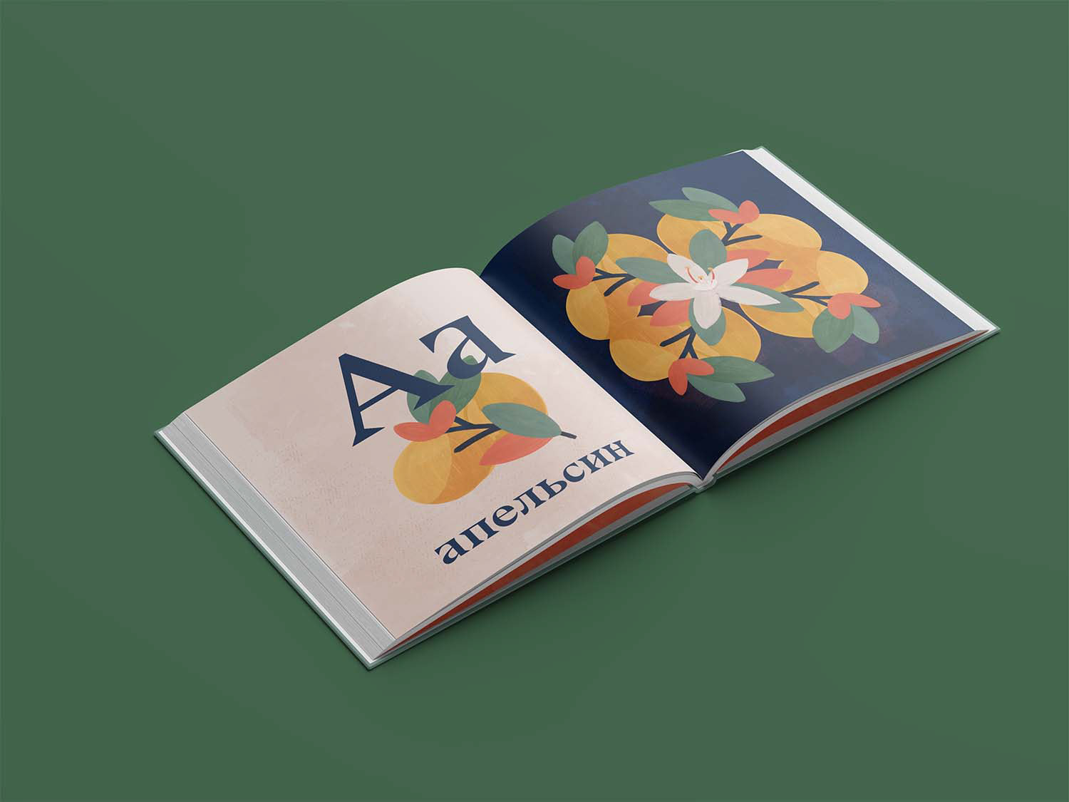 Graphic: a photo of an opened Russian alphabet book, displayed at a slight 45 degree angle. The left page features a gouache drawing of two oranges hanging on an isolated branch, adorned with leaves with the letter A and the Russian word for "orange." The right page features another gouache painting of oranges and an orange tree blossom.