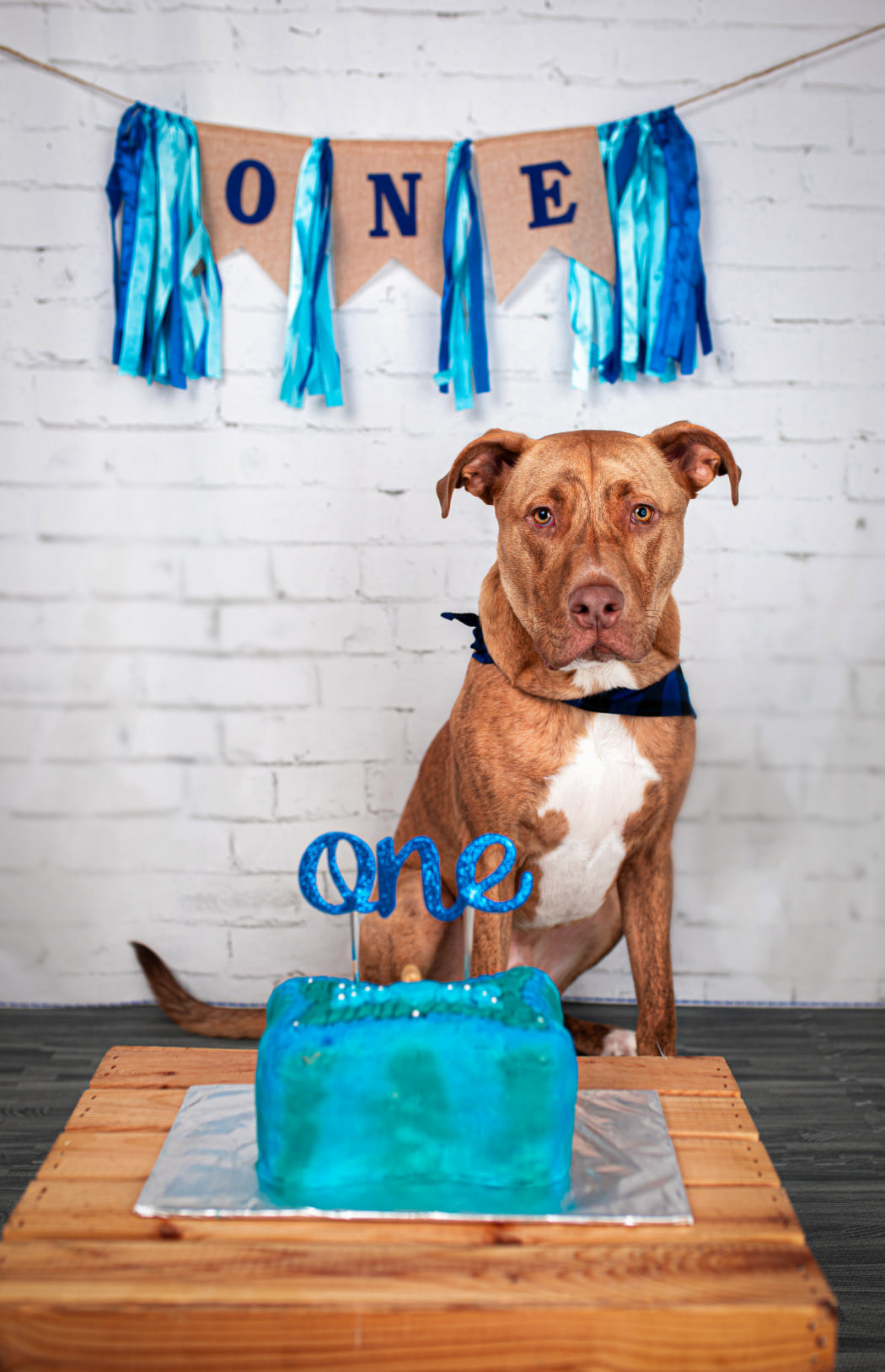 edmonton photography studio