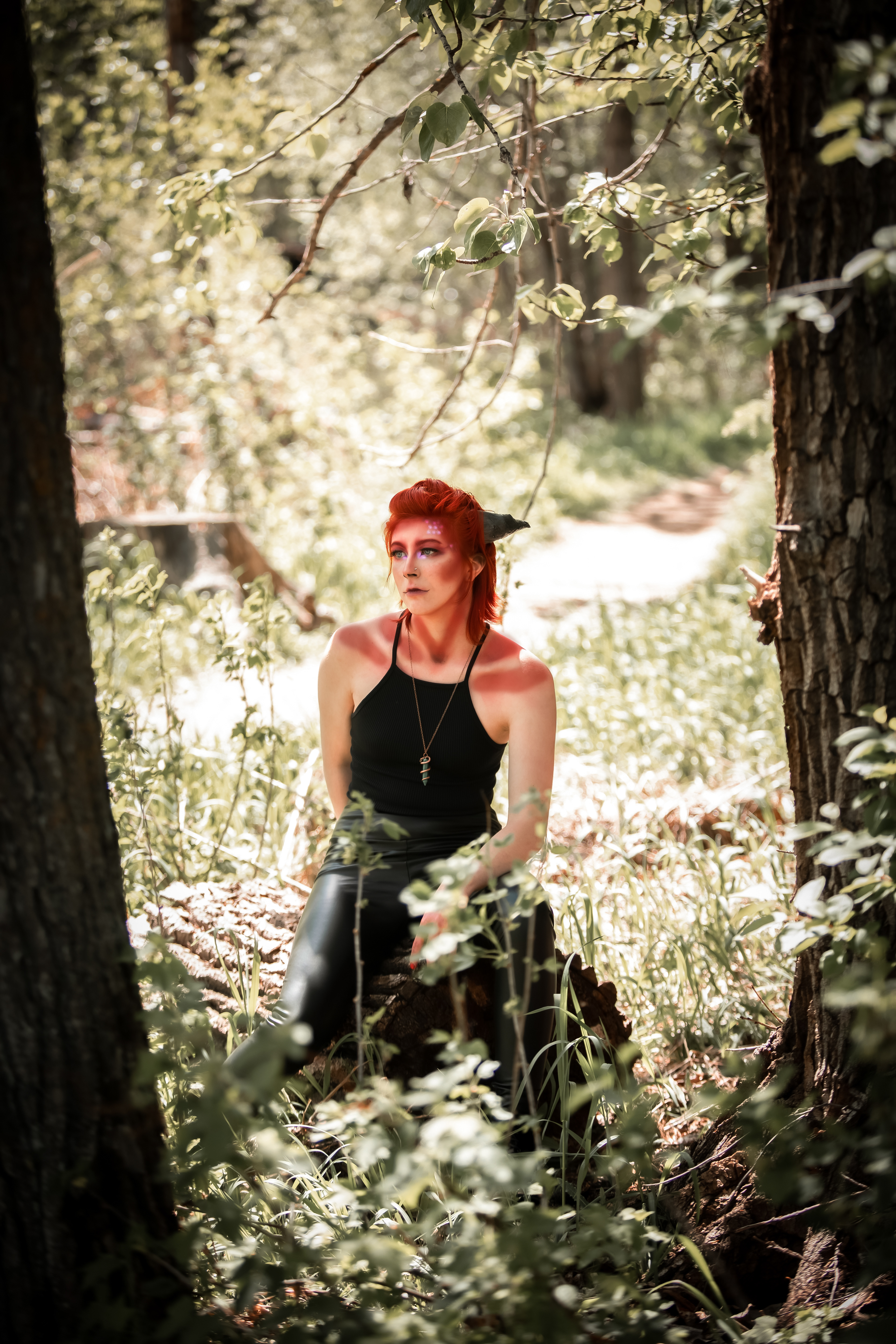 wild dragon model session