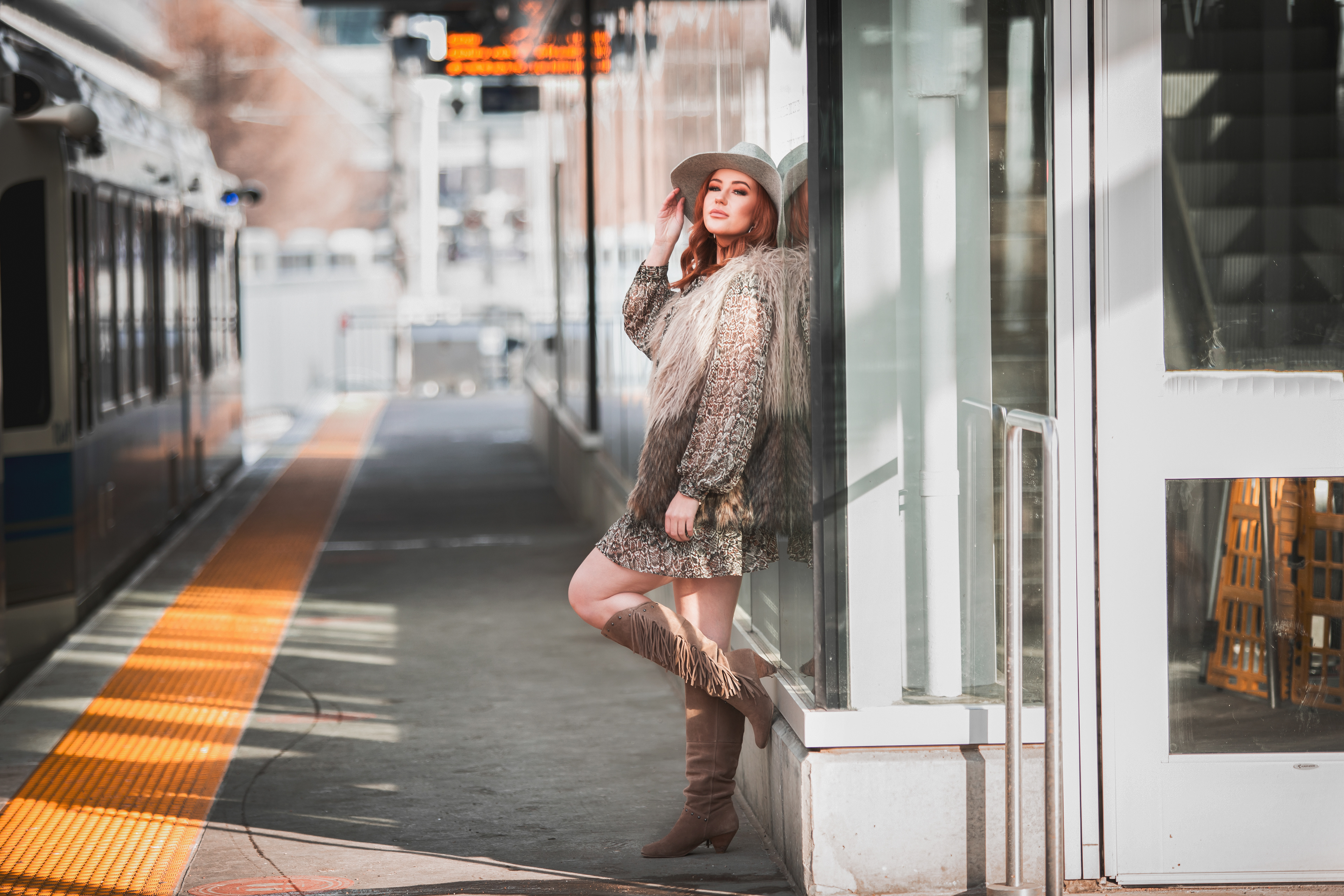 model at the lrt