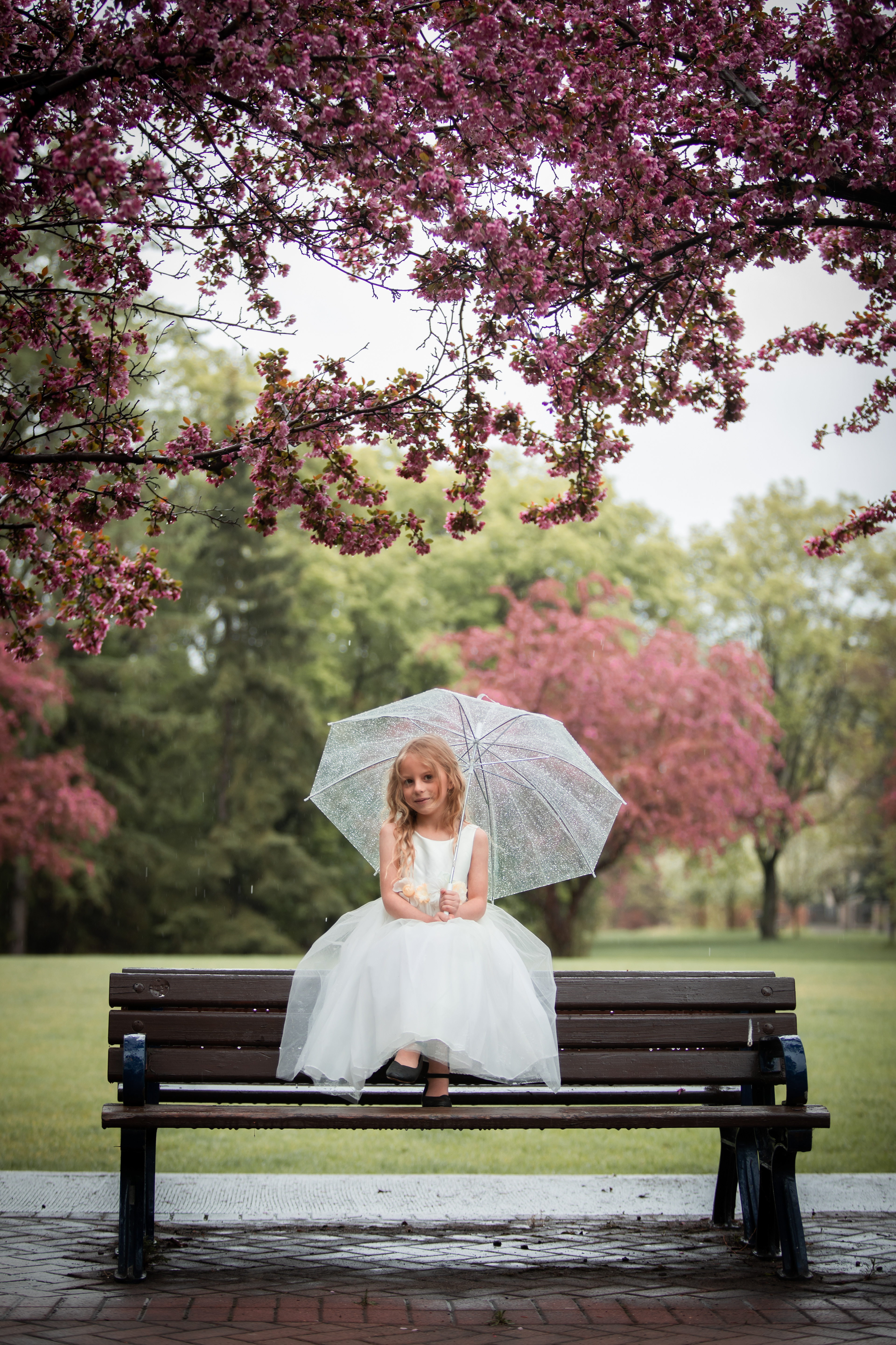 young girl sitting with umbrella in blossom trees
