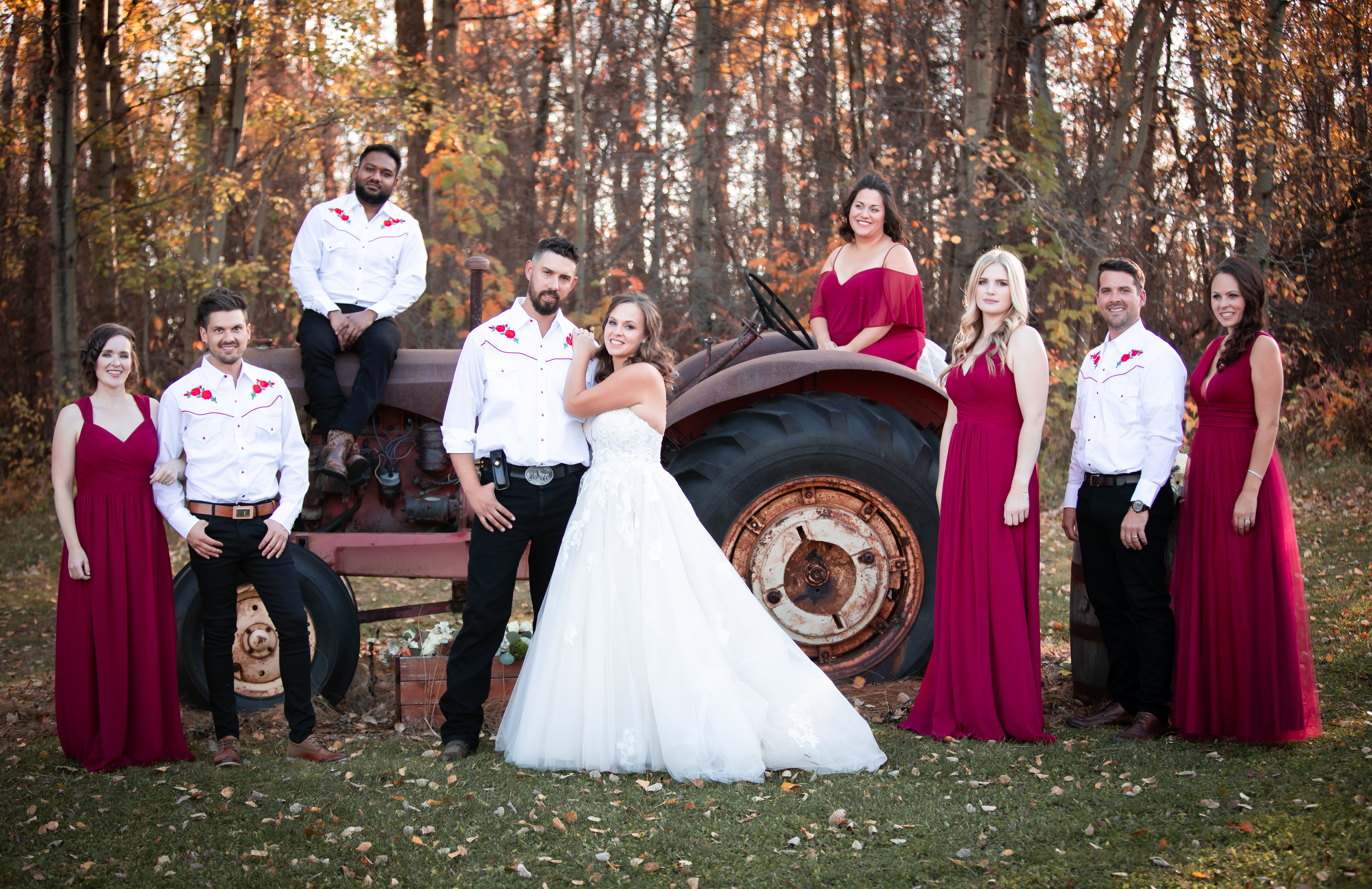 Bridal party on a tractor in the fall of Edmonton 