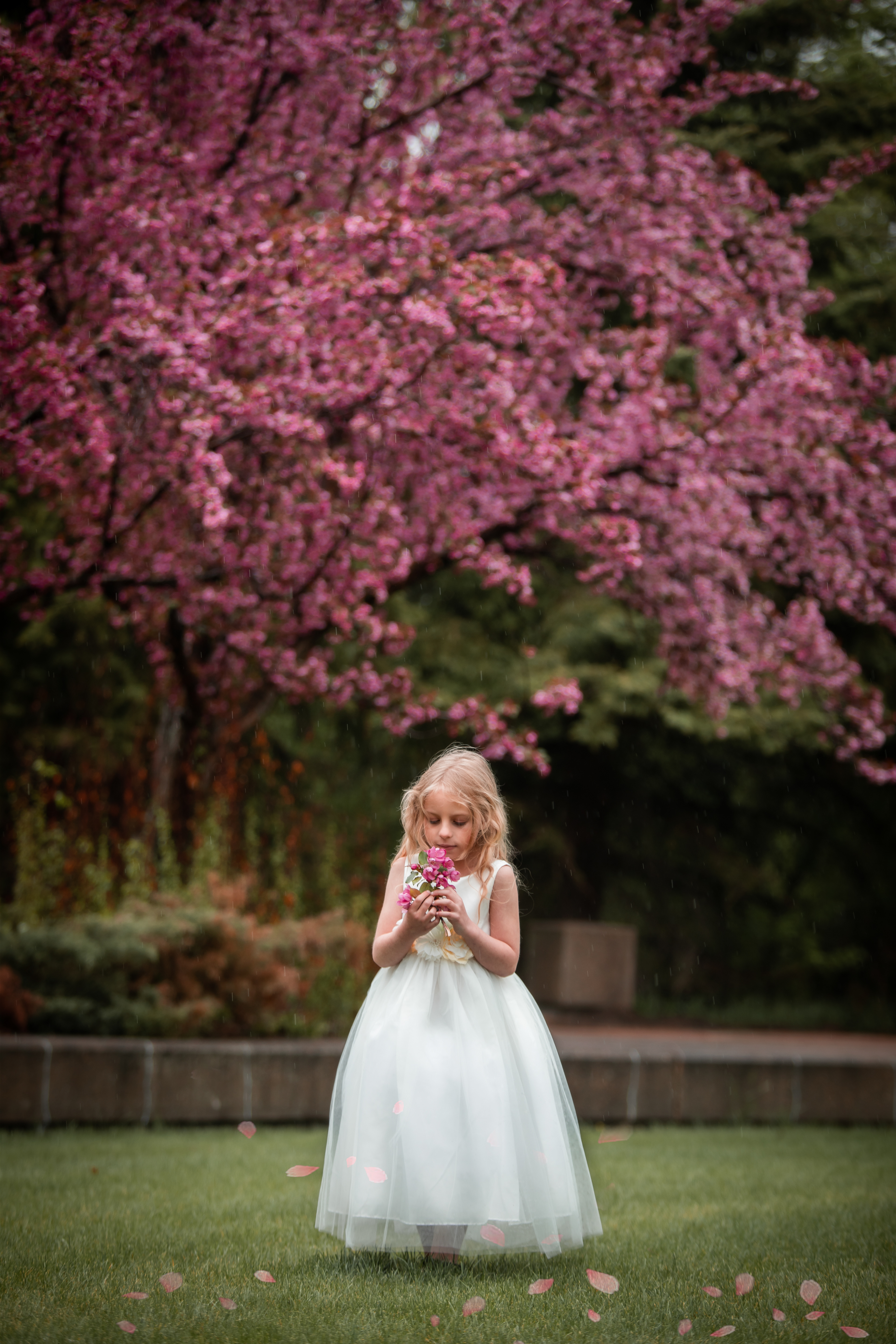 Close up with blossom trees and little girl