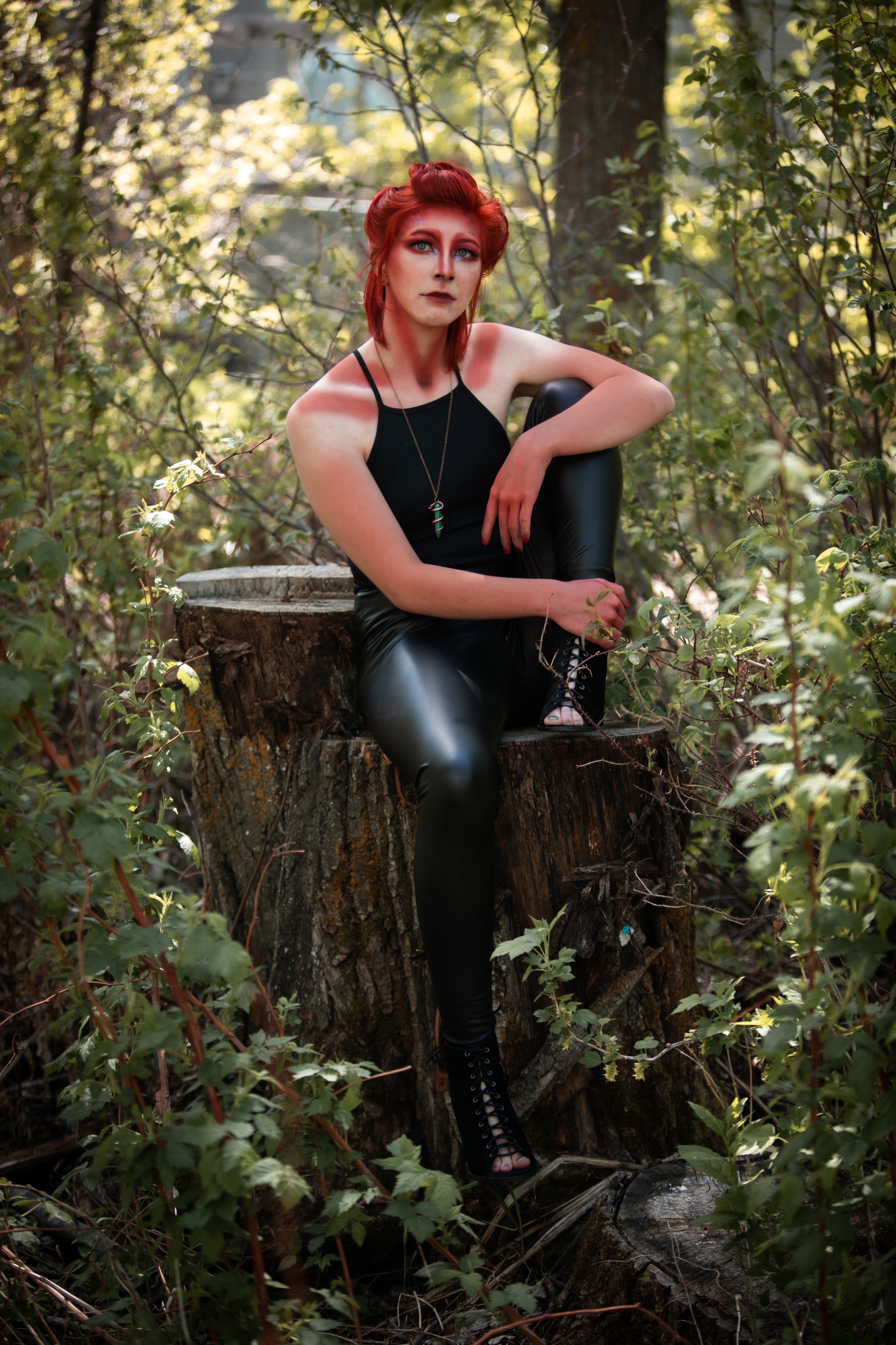 wild dragon model session