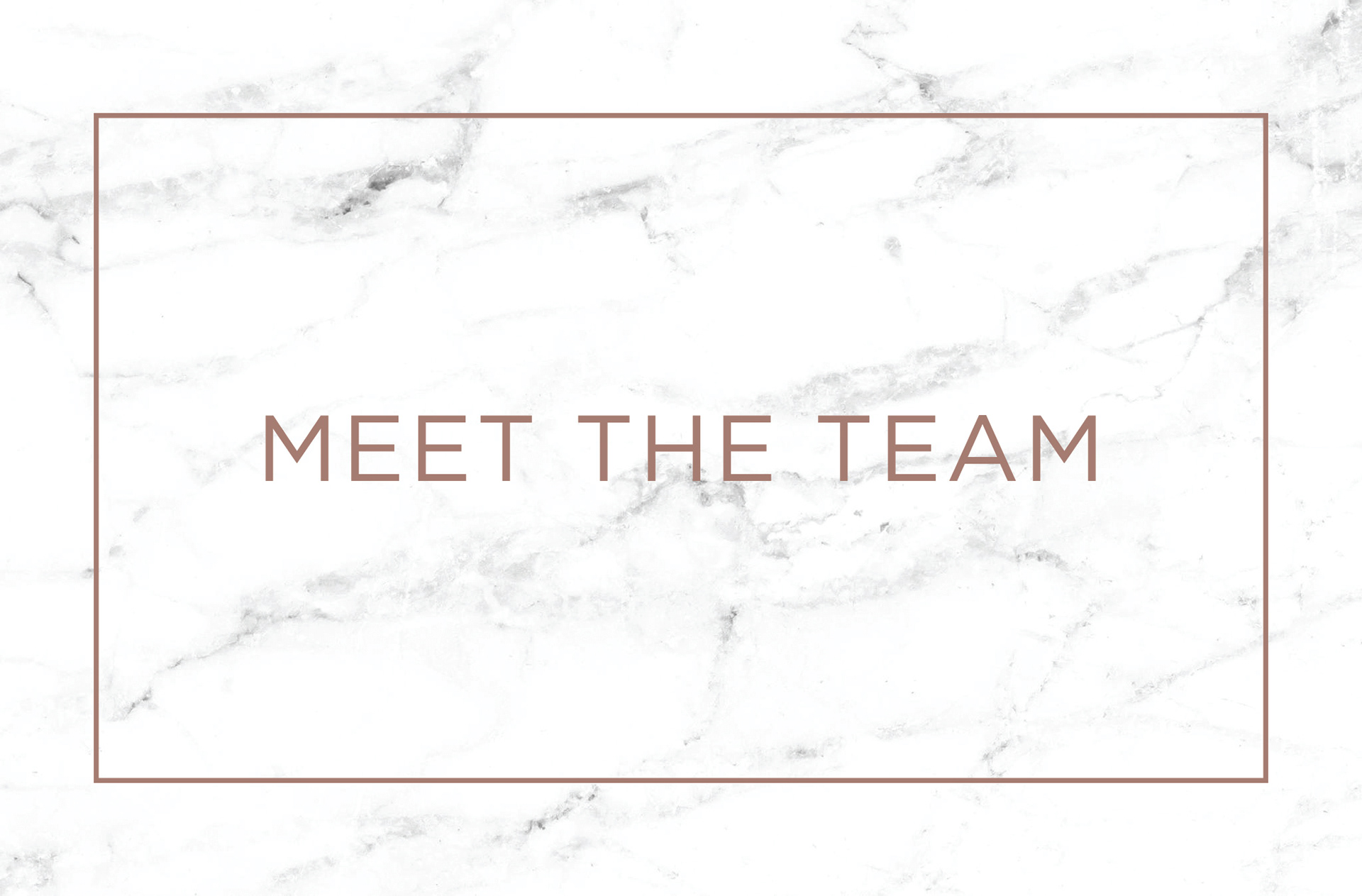 meet the team header