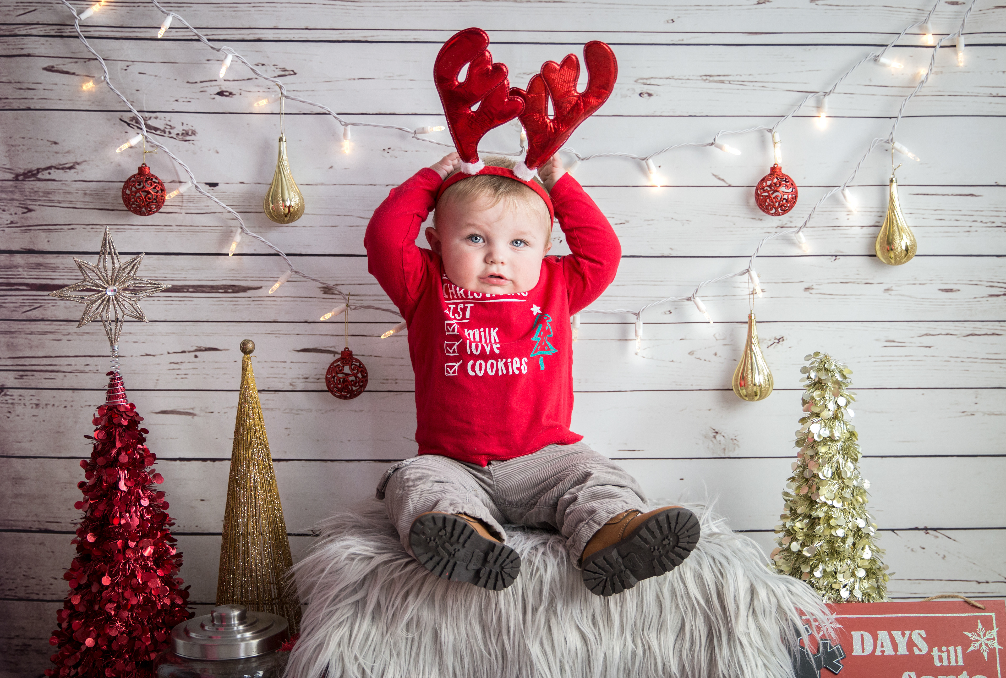 christmas mini back drop with little boy