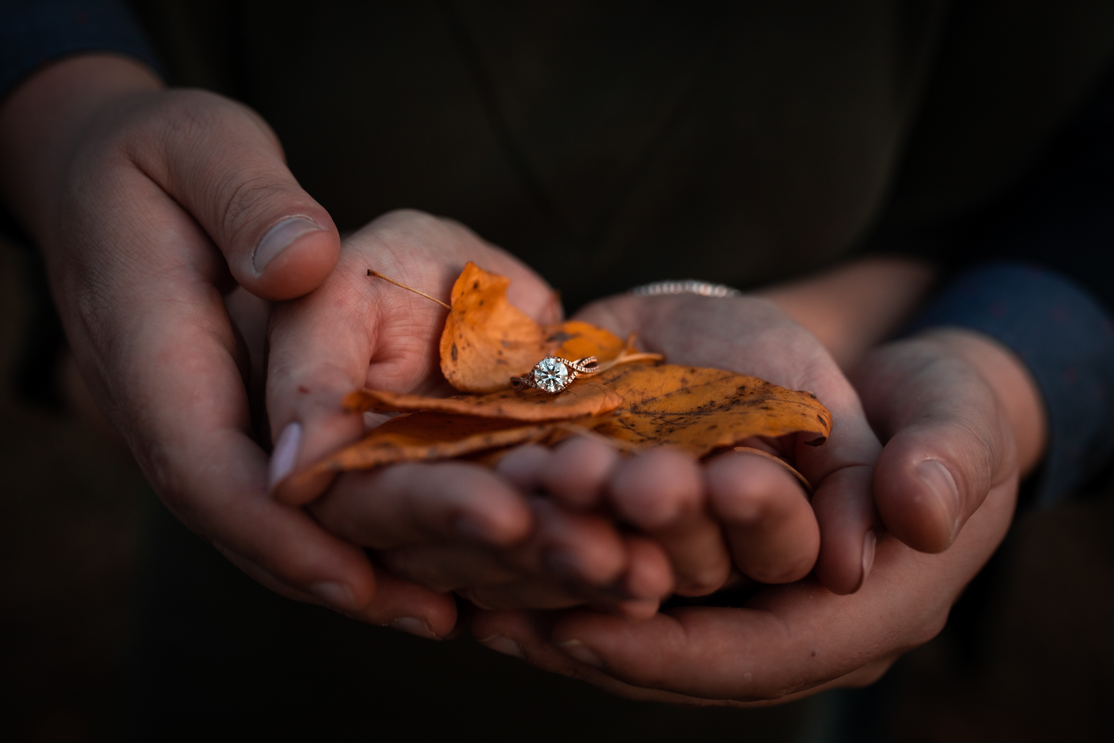 engagement photoshoot at sunset in Edmonton