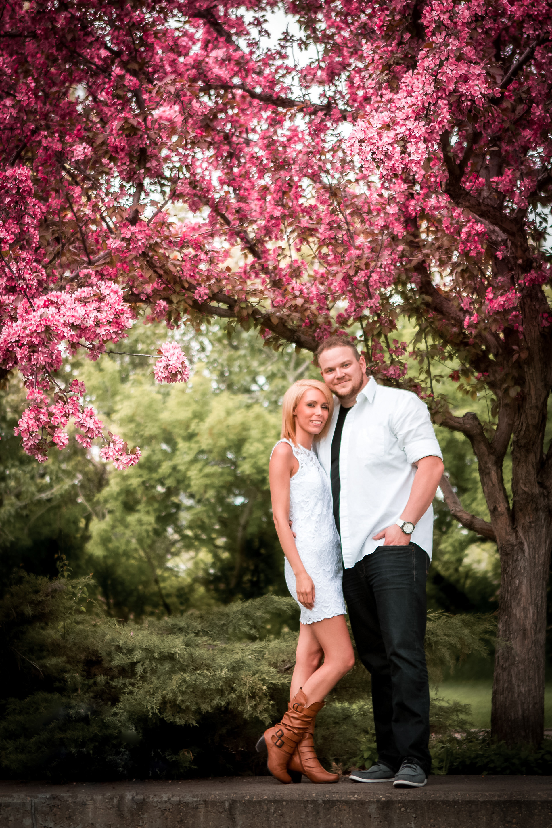 blossom tree photoshoot with couple