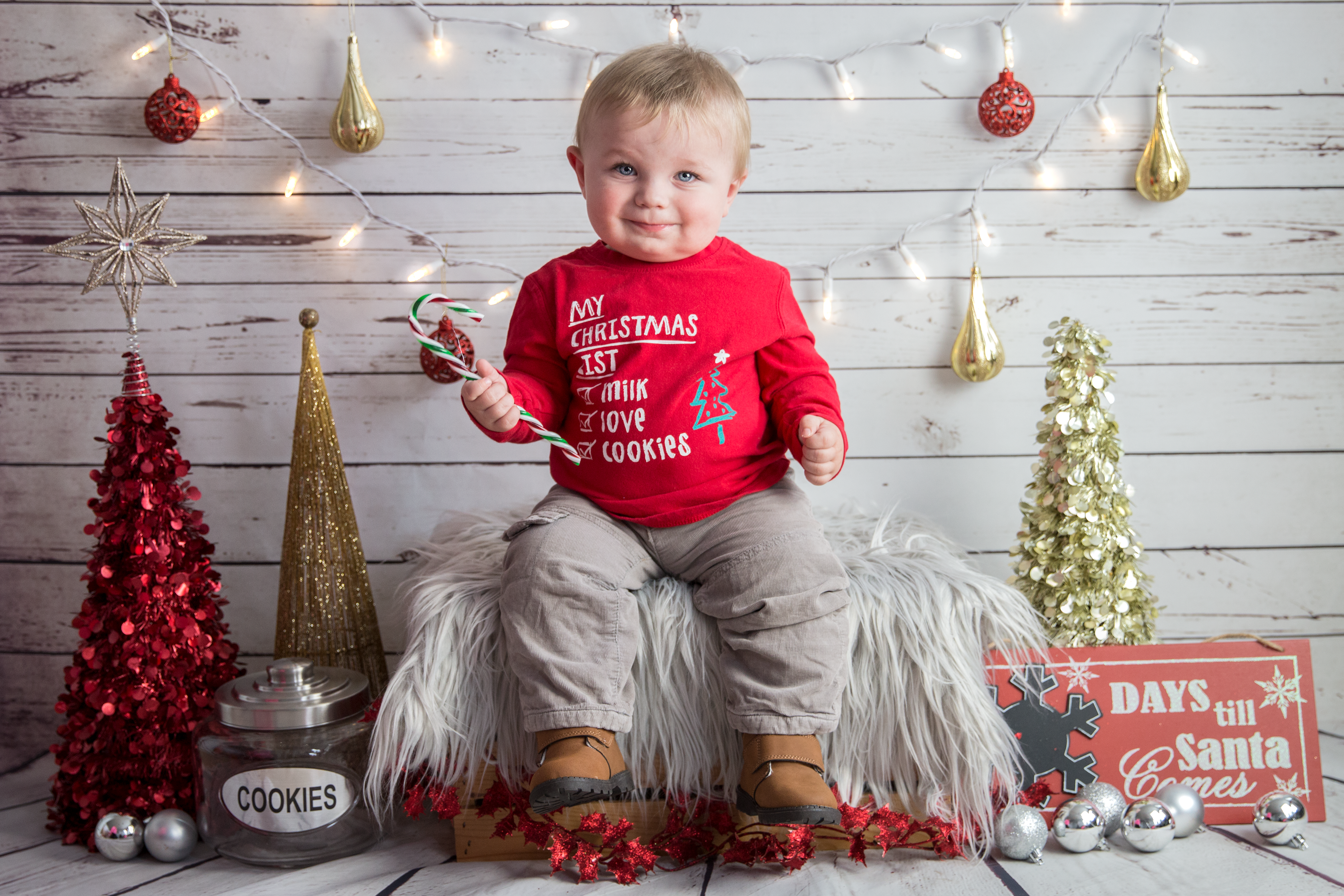 christmas mini back drop