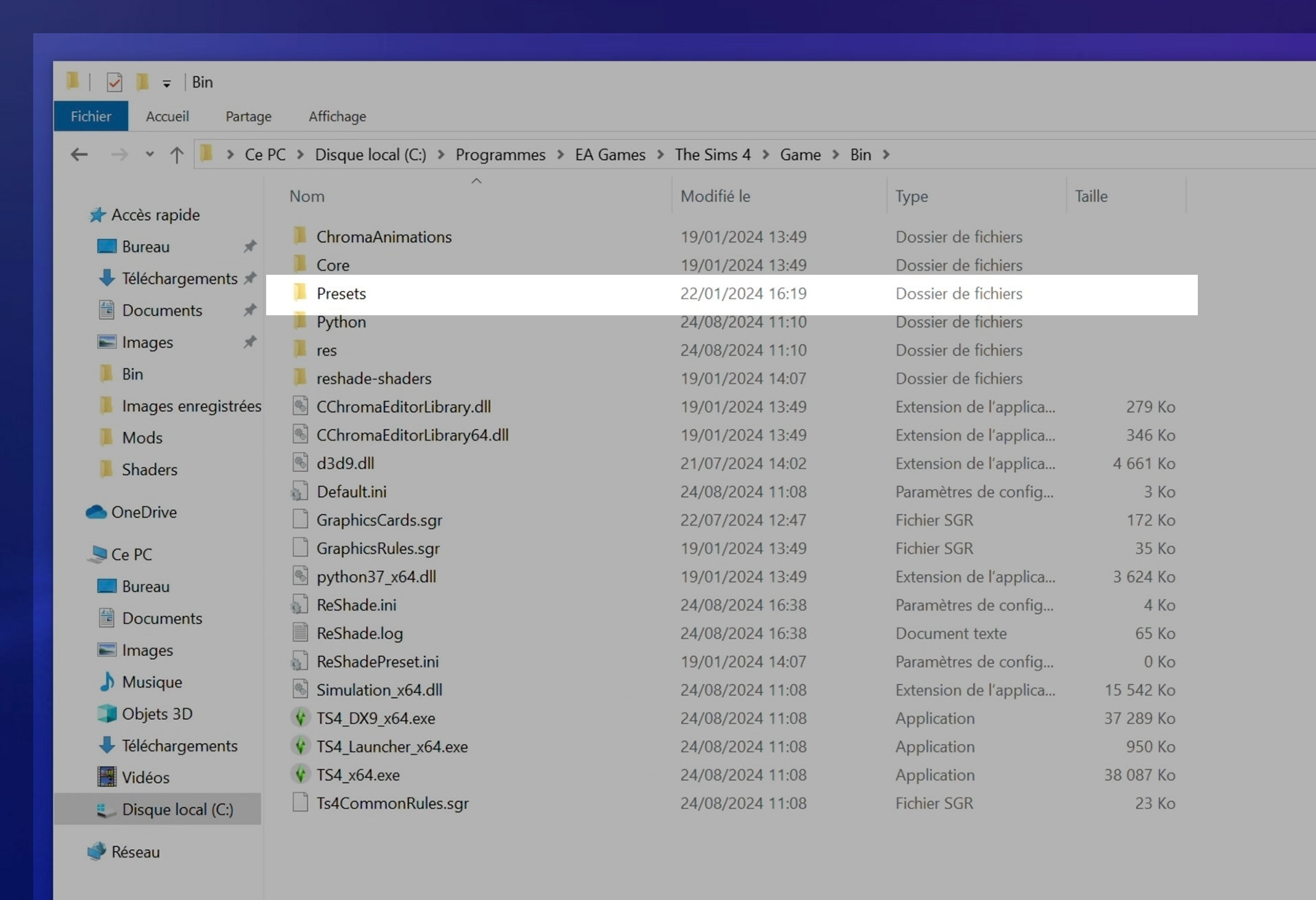 Créez votre dosseir "Presets" dans le dossier "Bin"