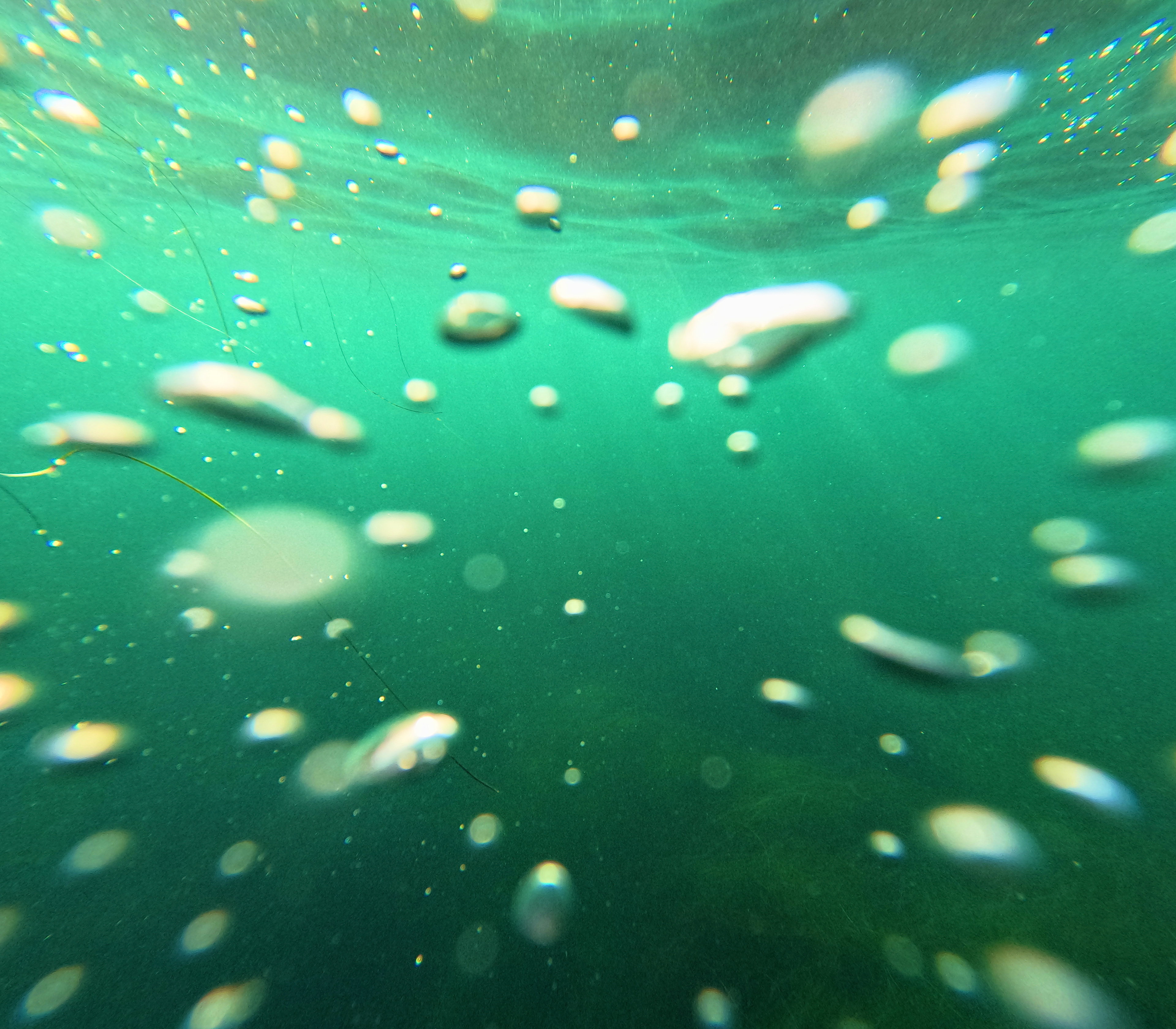 bubbles!
