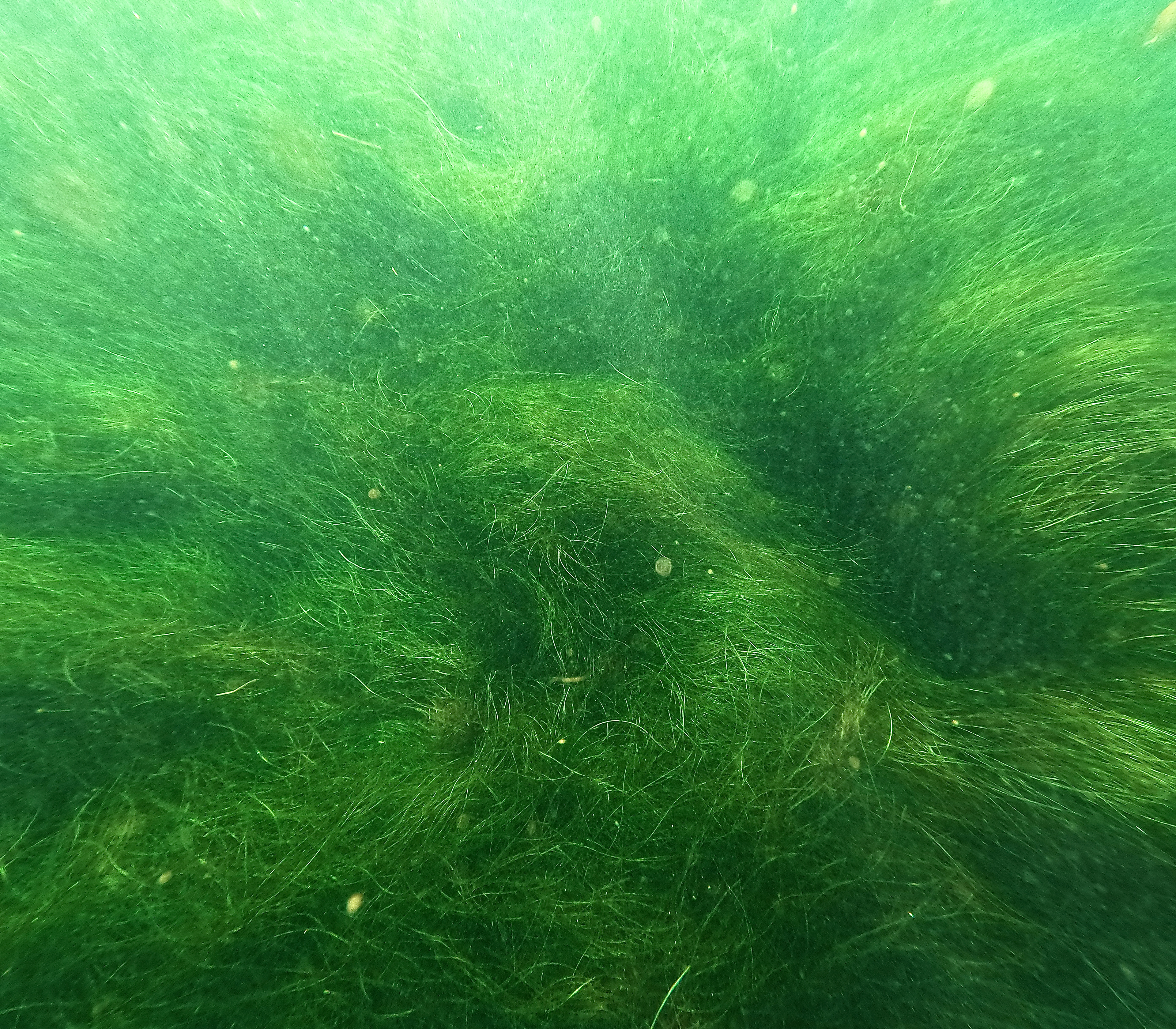 textureeee