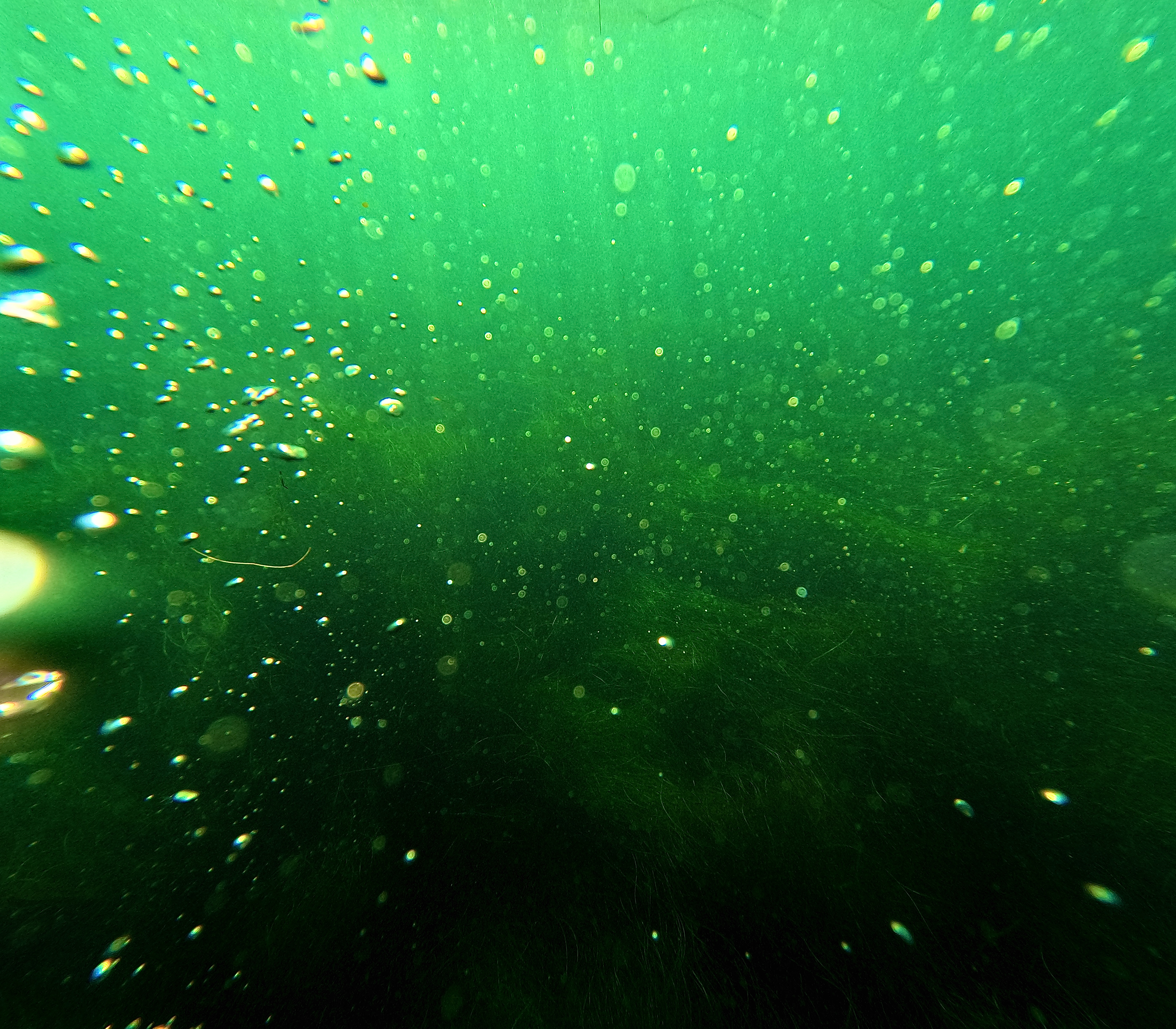 air bubbles!