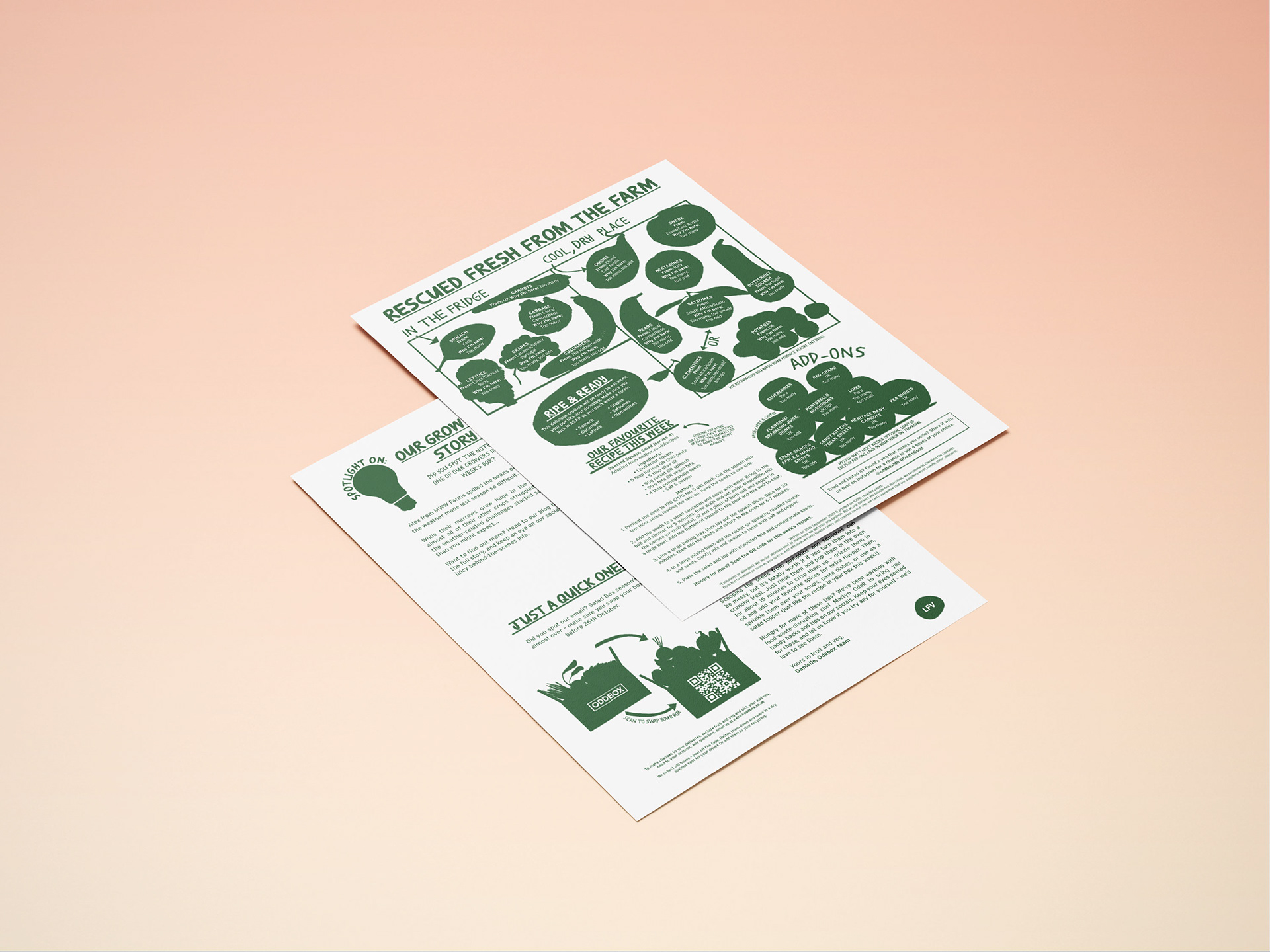 DM insert for Oddbox. Created using InDesign