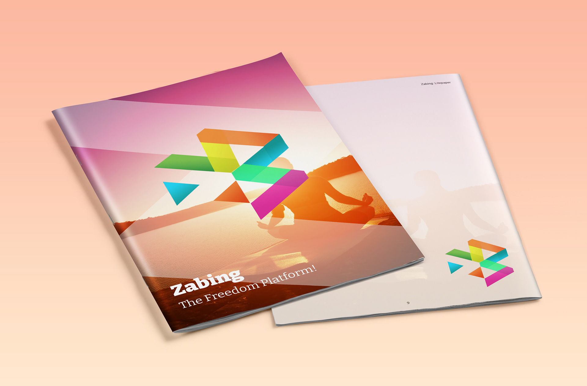 Whitepaper for start up (InDesign and Illustrator)