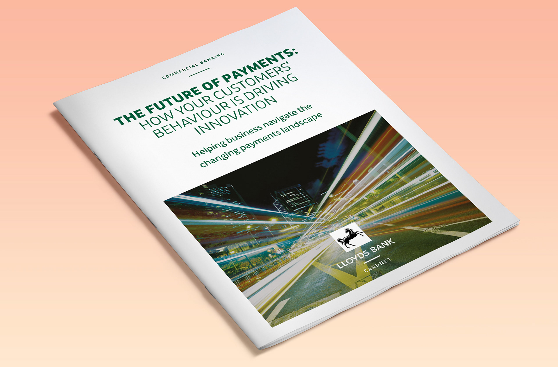 Cover of Whitepaper for Lloyds Bank (InDesign)