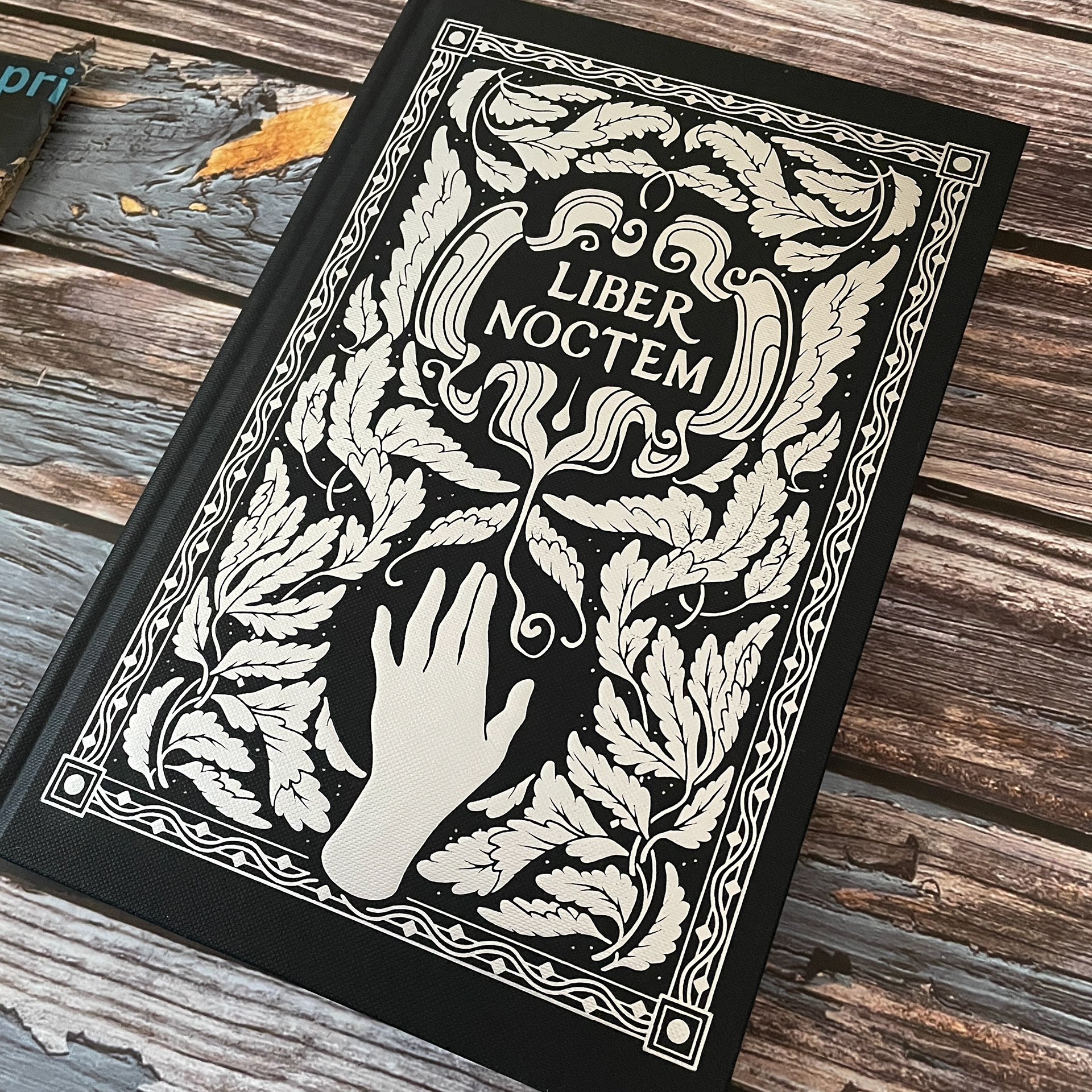 Foiled hardcover design for Holly Black's Book of Night