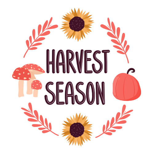  Cute hand drawn lettering harvest autumn season quote illustration for greeting card by Alice Vacca