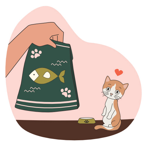 cute hand drawn cartoon character white orange cat waiting for food funny vector illustration by Alice Vacca