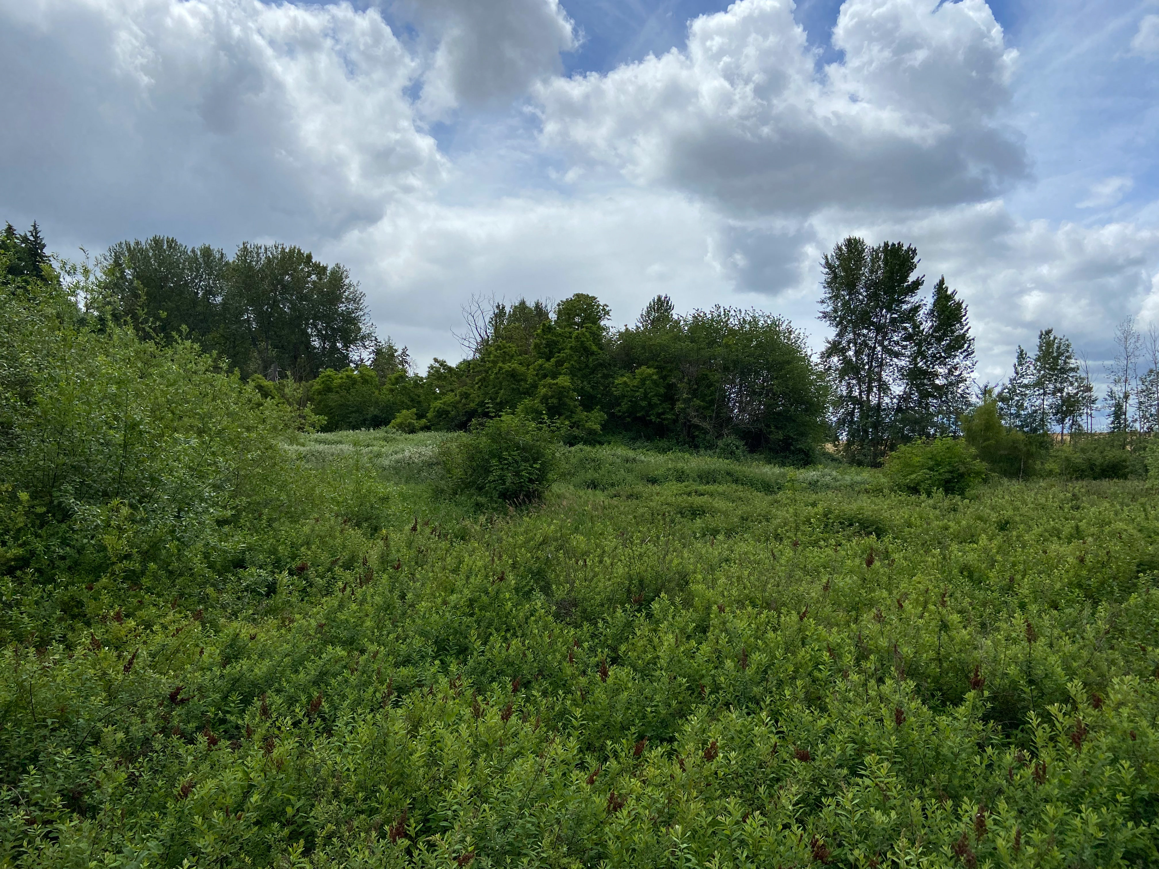 View 1 - Before Boardwalk