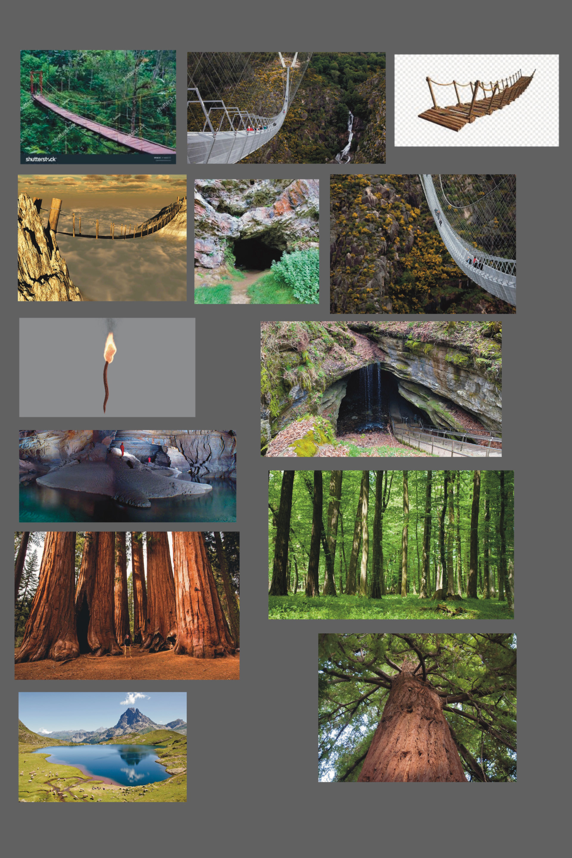 Photo References
