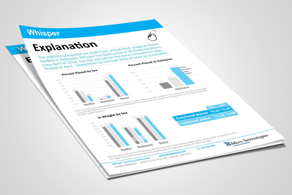 Marketing Flyer