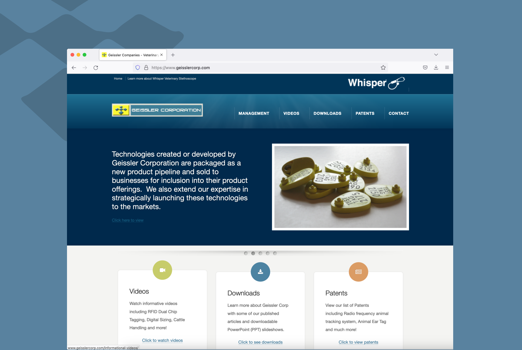 Wordpress Website Design