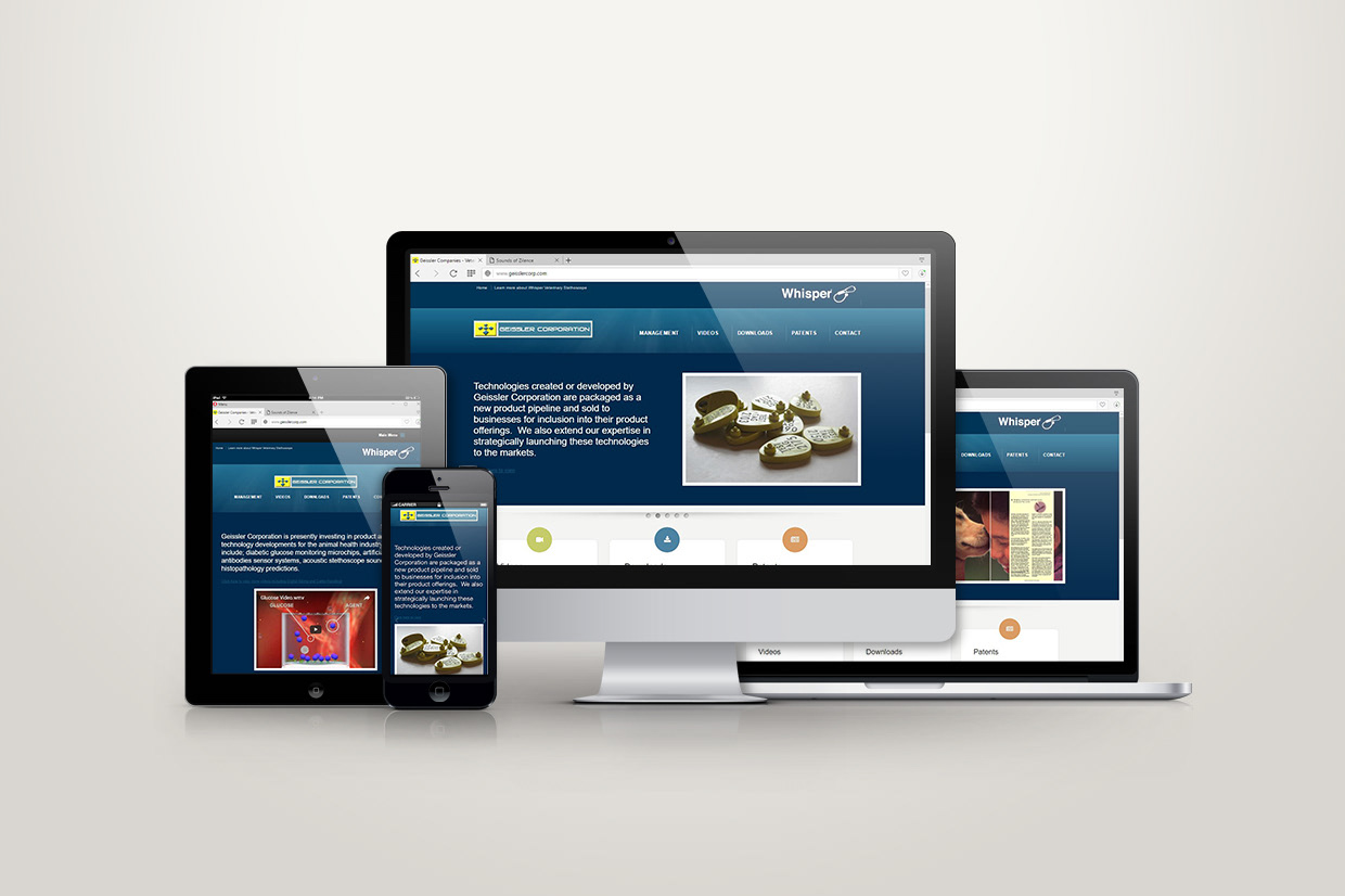 Website Design and Development