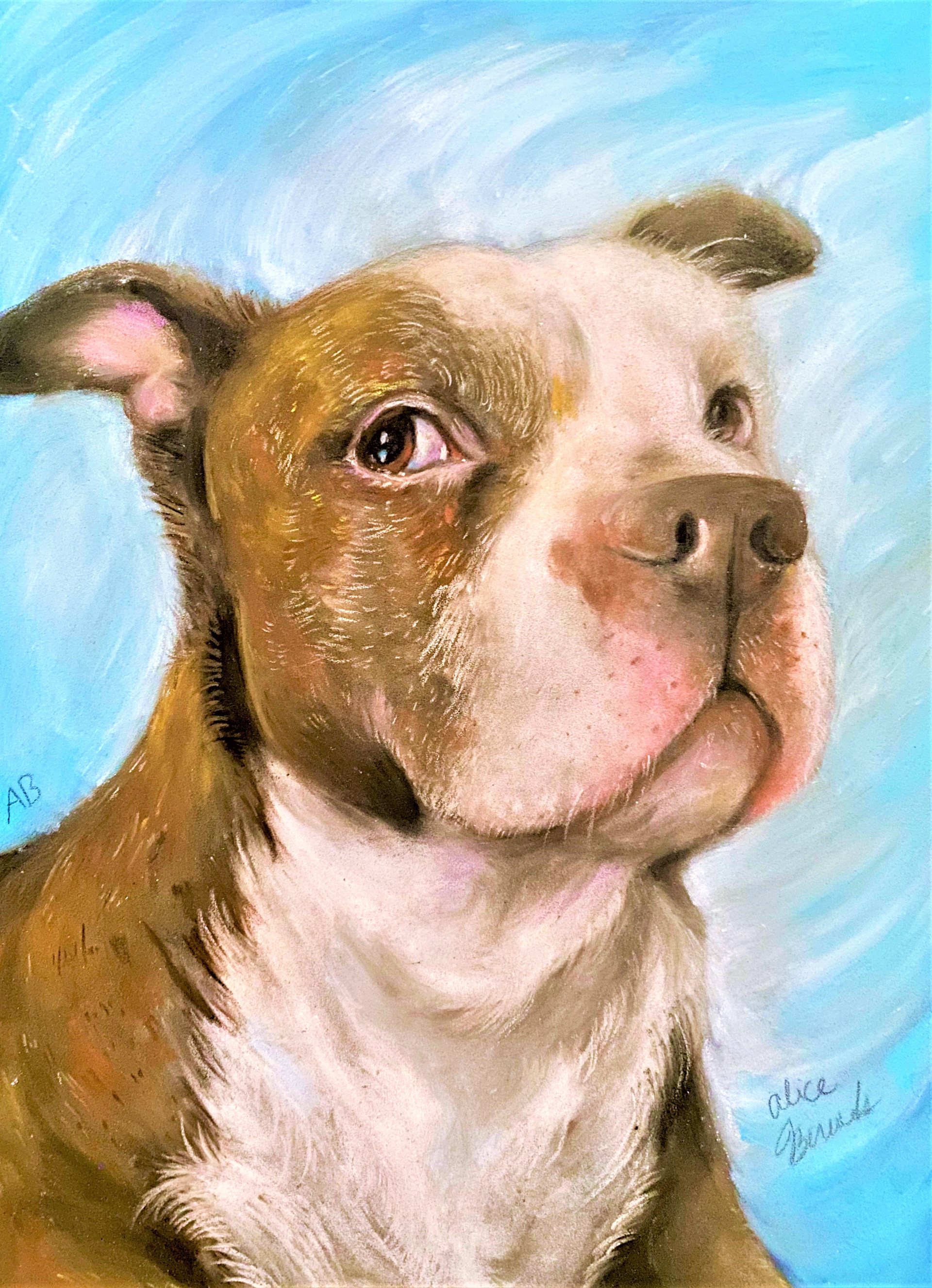 Pan Pastels on Paper