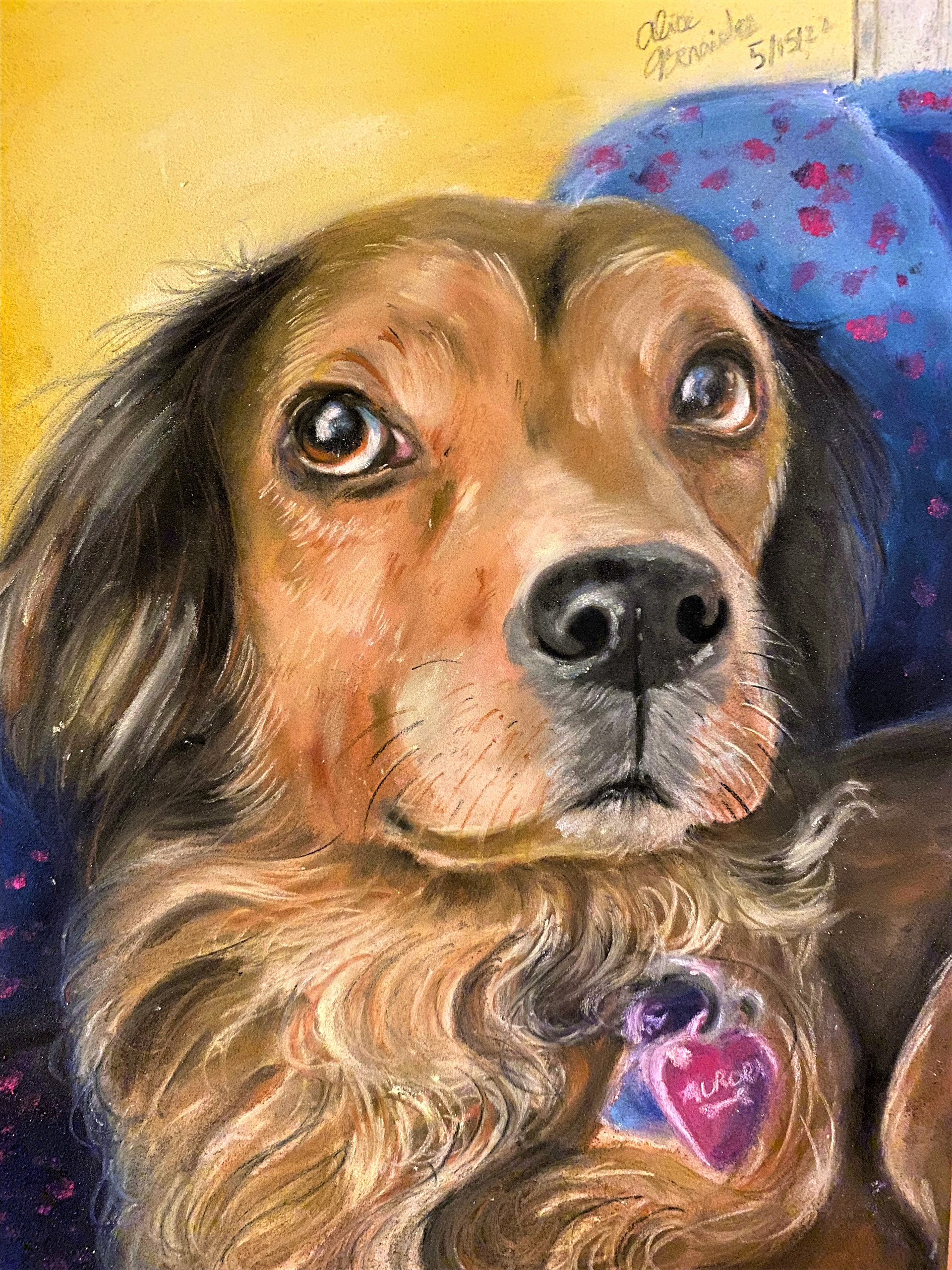 Pan Pastels on Paper