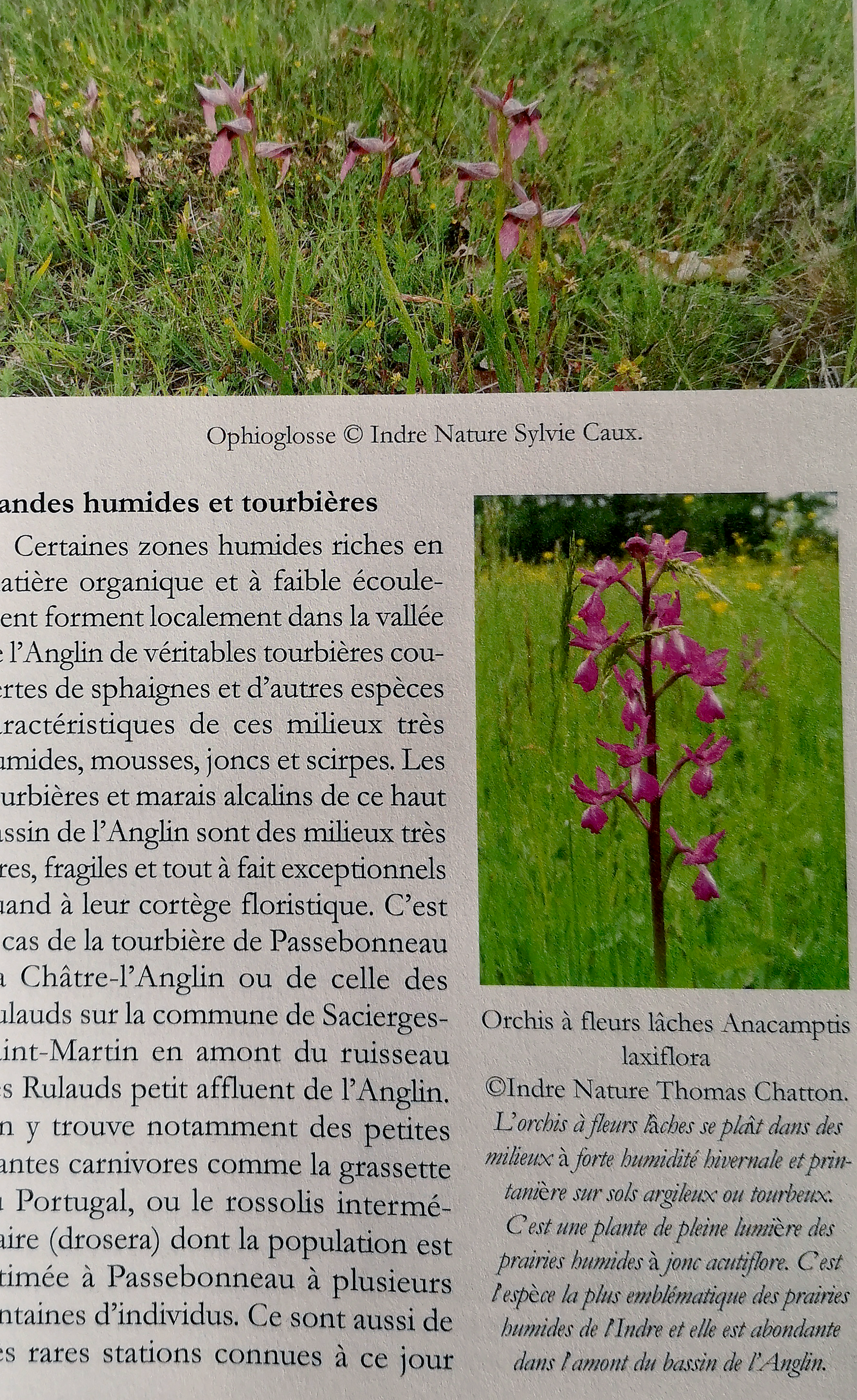 Livre avec photo - papier offset 80gr - ©Histaval, Val de Creuse et Val d'Anglin,
