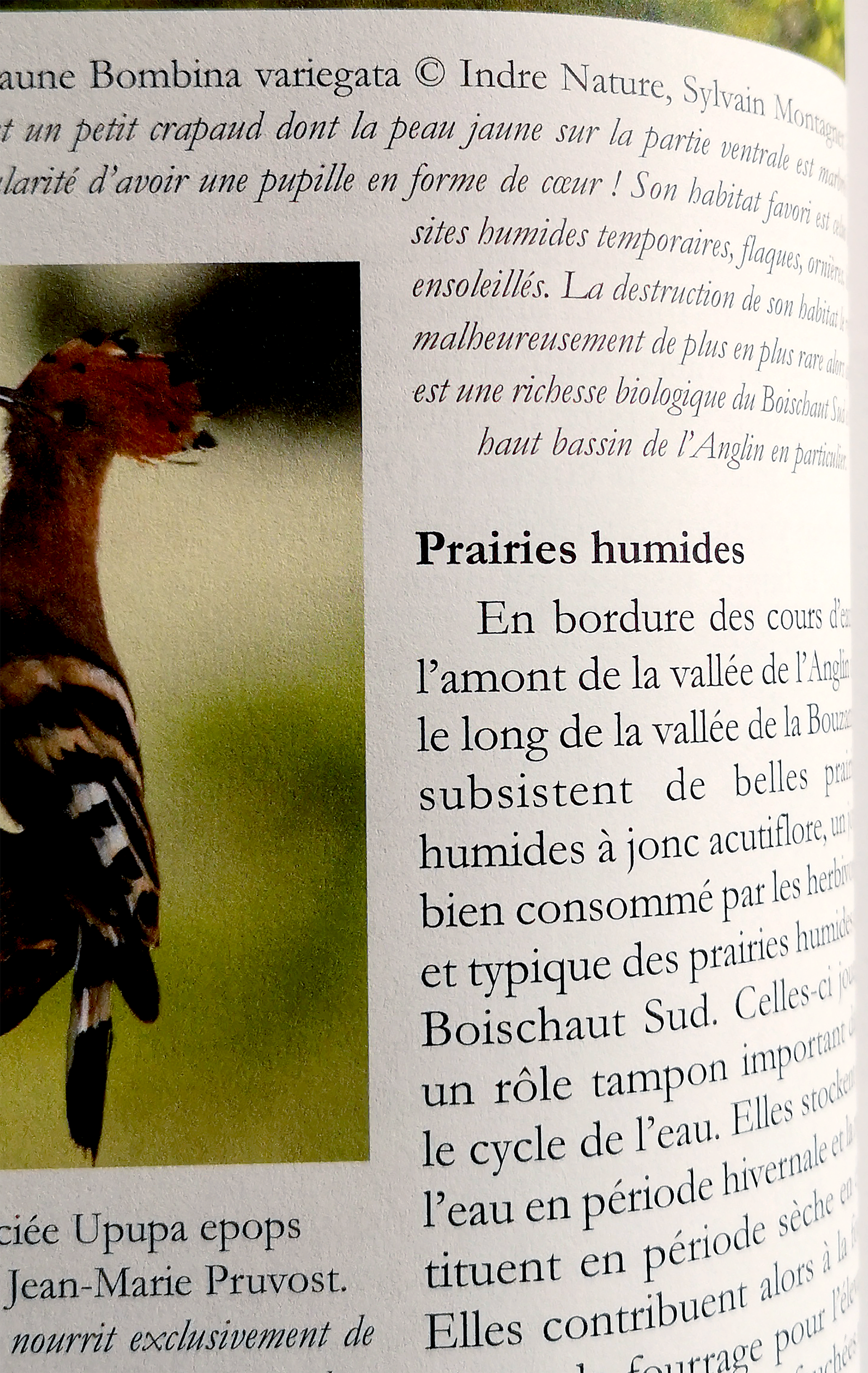 Livre avec photo - papier offset 80gr - ©Histaval, Val de Creuse et Val d'Anglin,