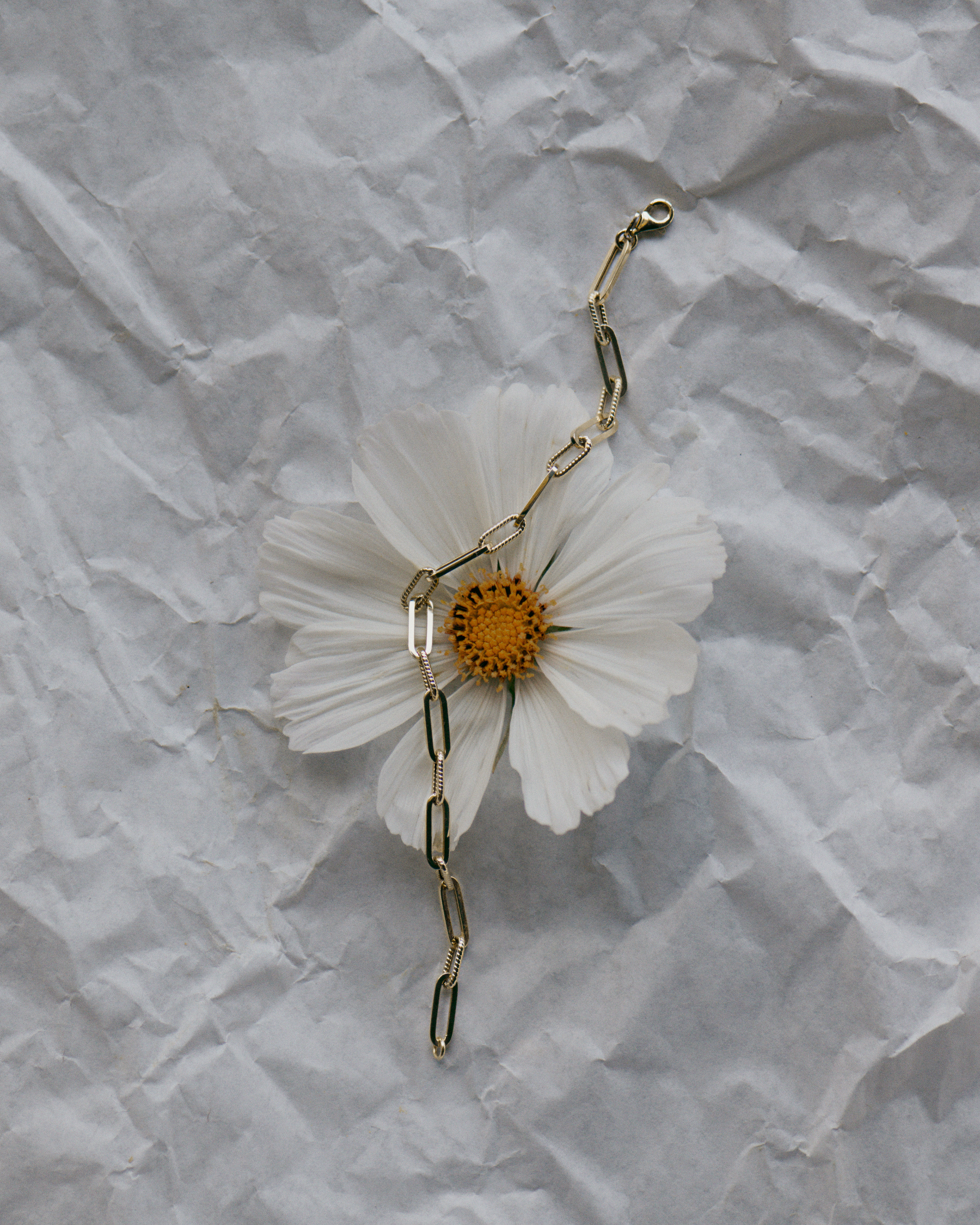 photo: Paul Bellaart