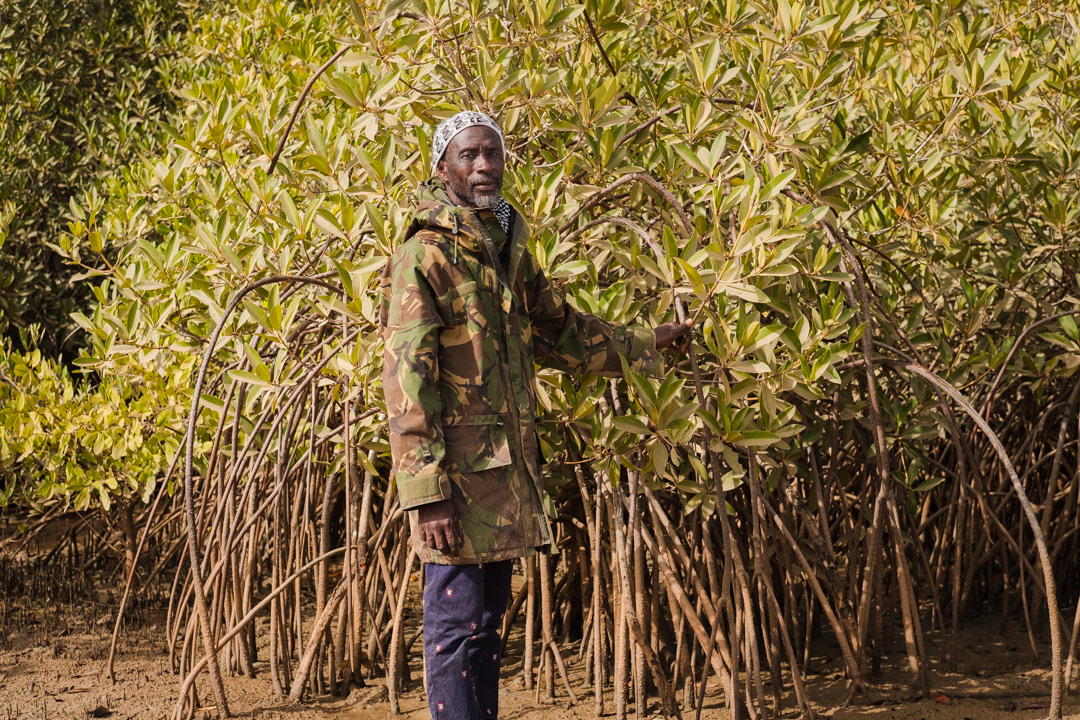 For some years Ameth has embarked on an ambitious reforestation plan. Since 2012 he has decided to plant casuarina and mangrove trees on semi-submerged land. He dreams of regaining land from the ocean and return to live in his village.