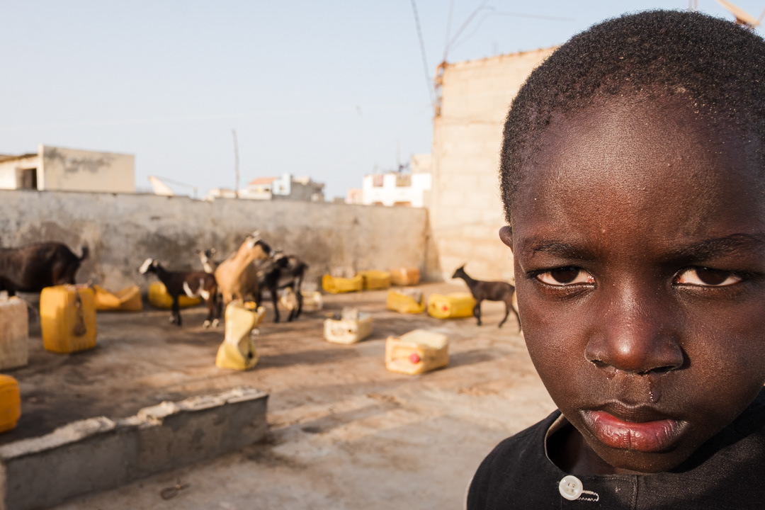 Seidna (11) on the roof of his seafront house in Guet Ndar