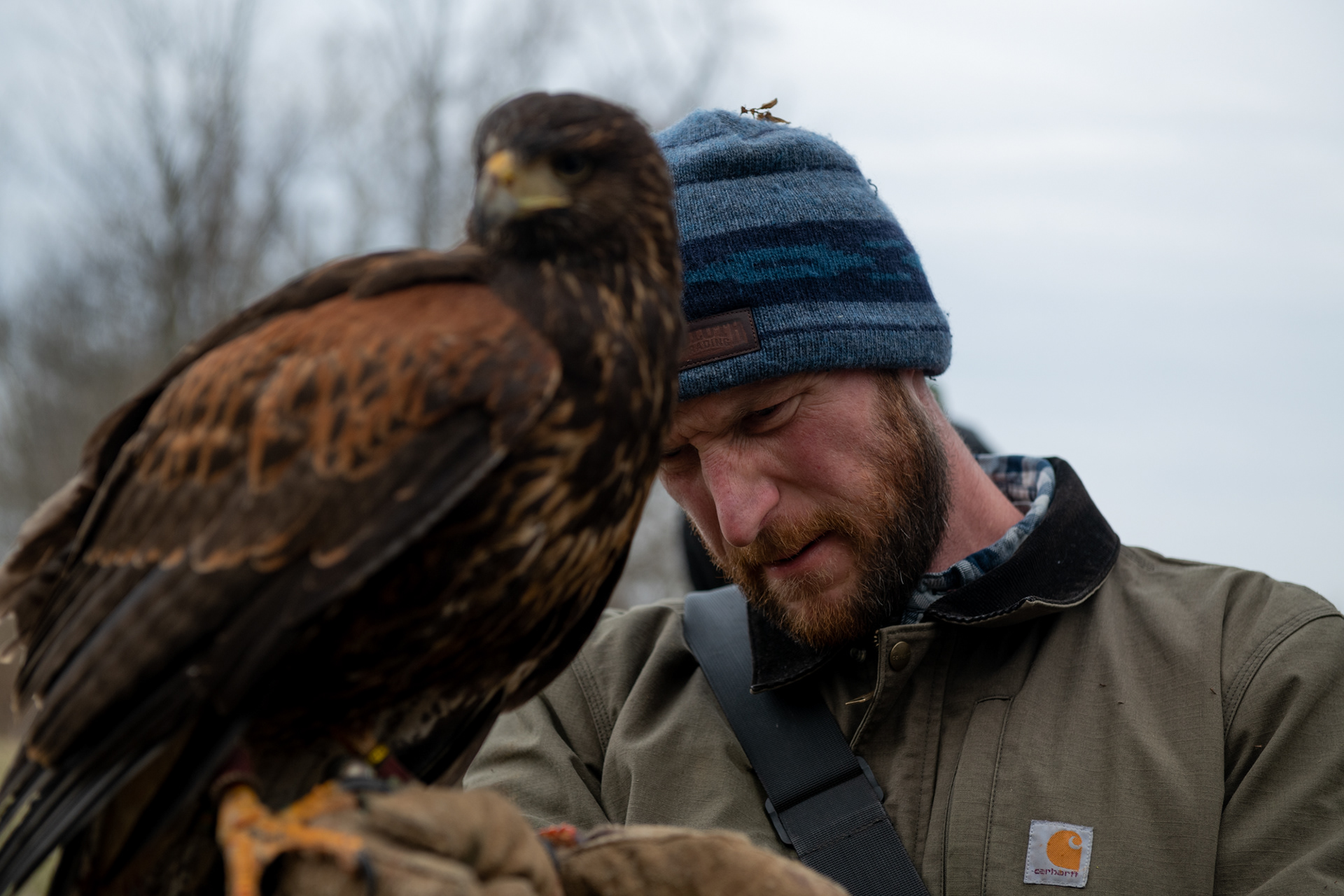 Tyler Rankin examines a broken talon on his raptor, Urbosa, on Sunday, Jan. 16, 2022, in Union, Kentucky. Tyler says that a broken talon is not an uncommon injury and is treated by cleaning the wound and casting the broken talon in epoxy.