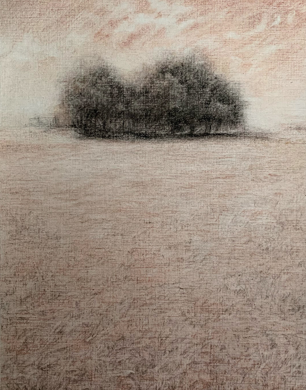 A imensidão do instante, 2020 Carvão s/papel 41x33cm C/ moldura - 250€