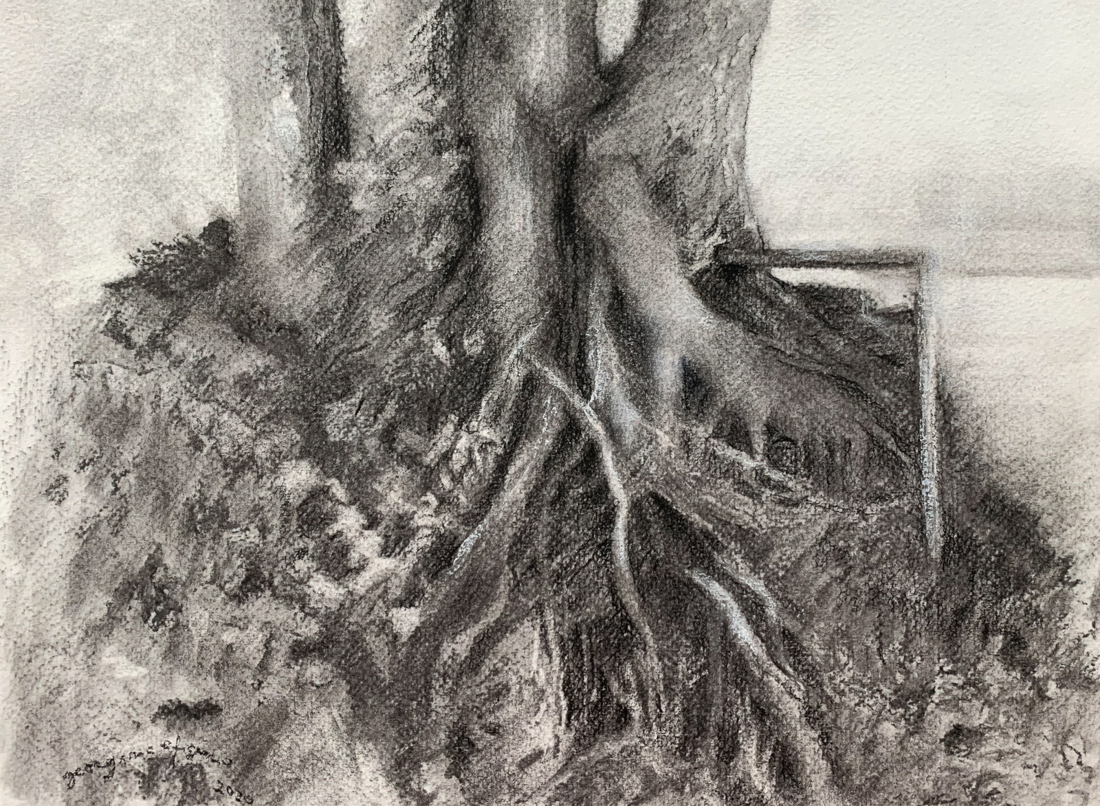A força da vida, 2020 Carvão s/papel 24x32cm C/ moldura - 200€