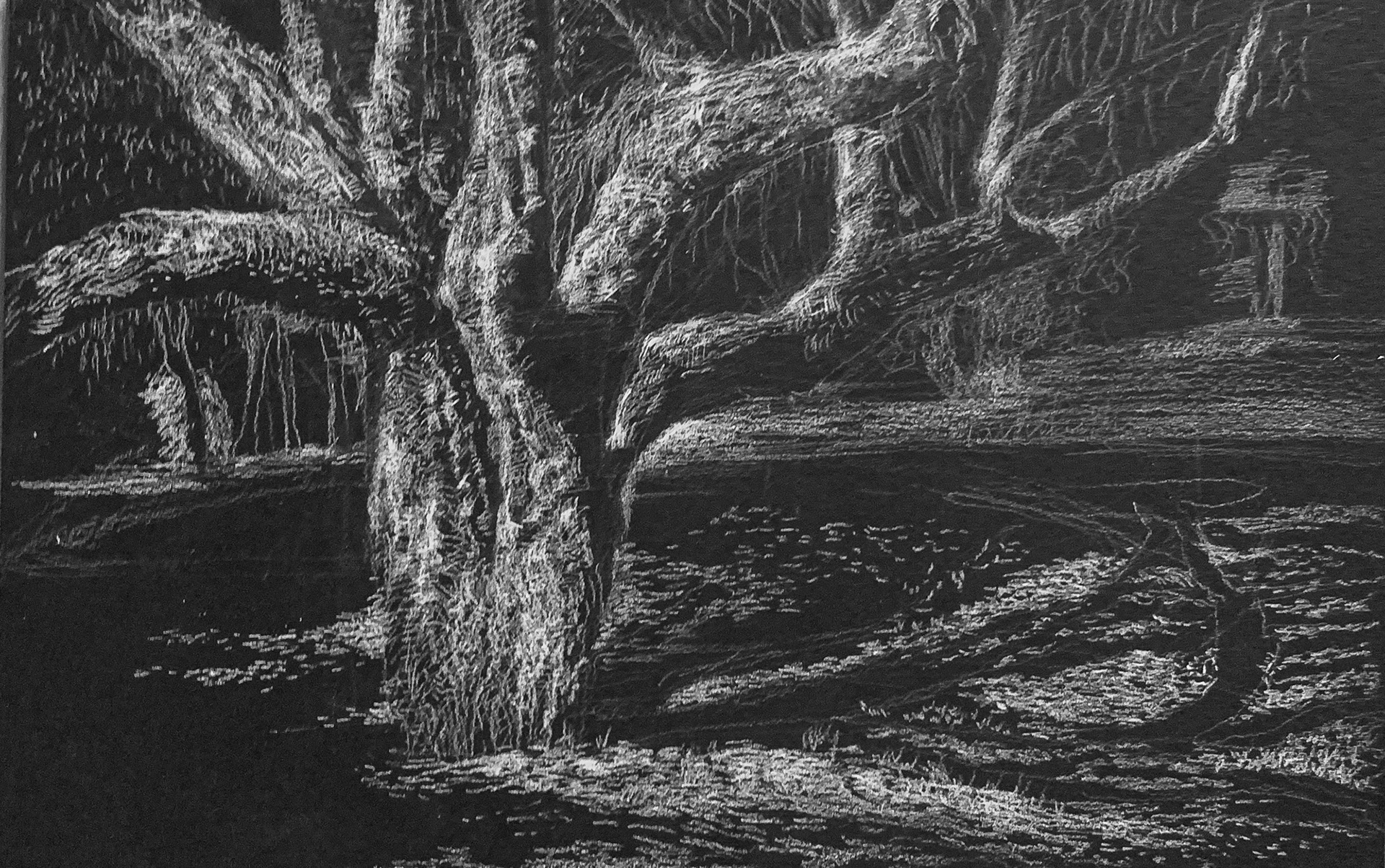 Em tempos de escuridão II, 2020  Lápis s/cartão 19x29cm C/ moldura - 150€