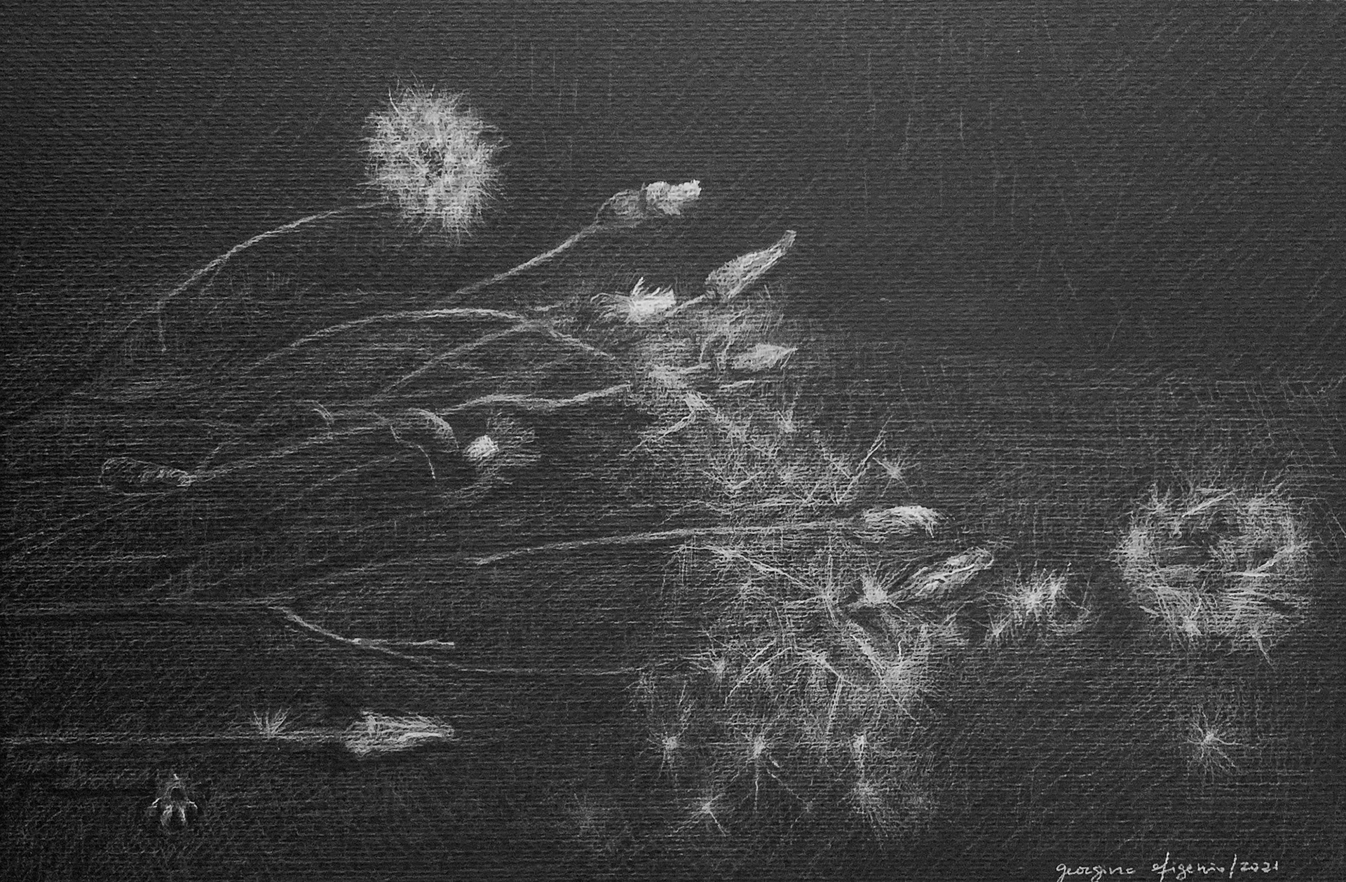 O desapego, 2021  Lápis s/cartão 29,5x42cm - 200€