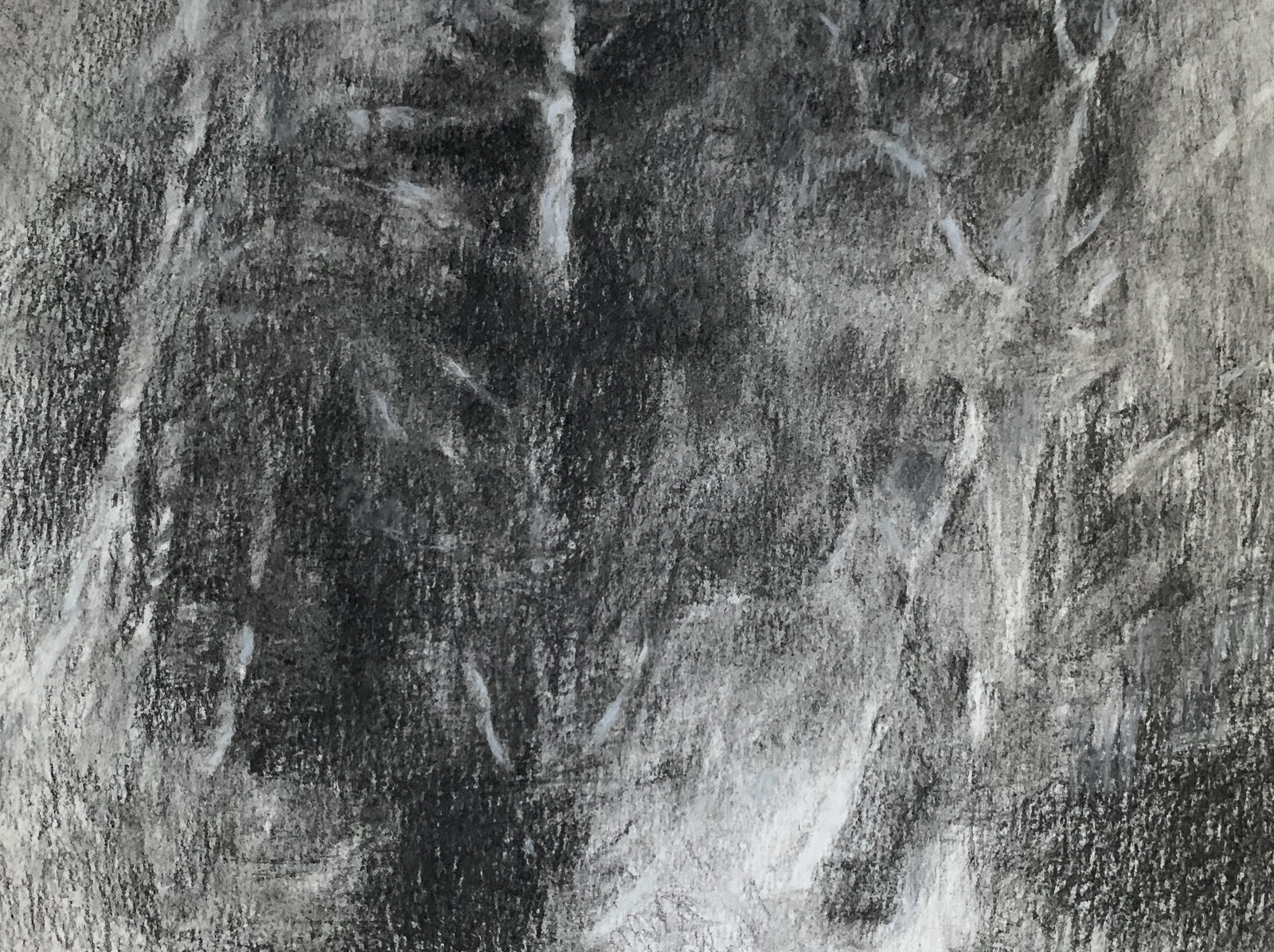 O silencio do medo 2 Carvão s/papel montado em tela 18X24cm C/moldura - 150€