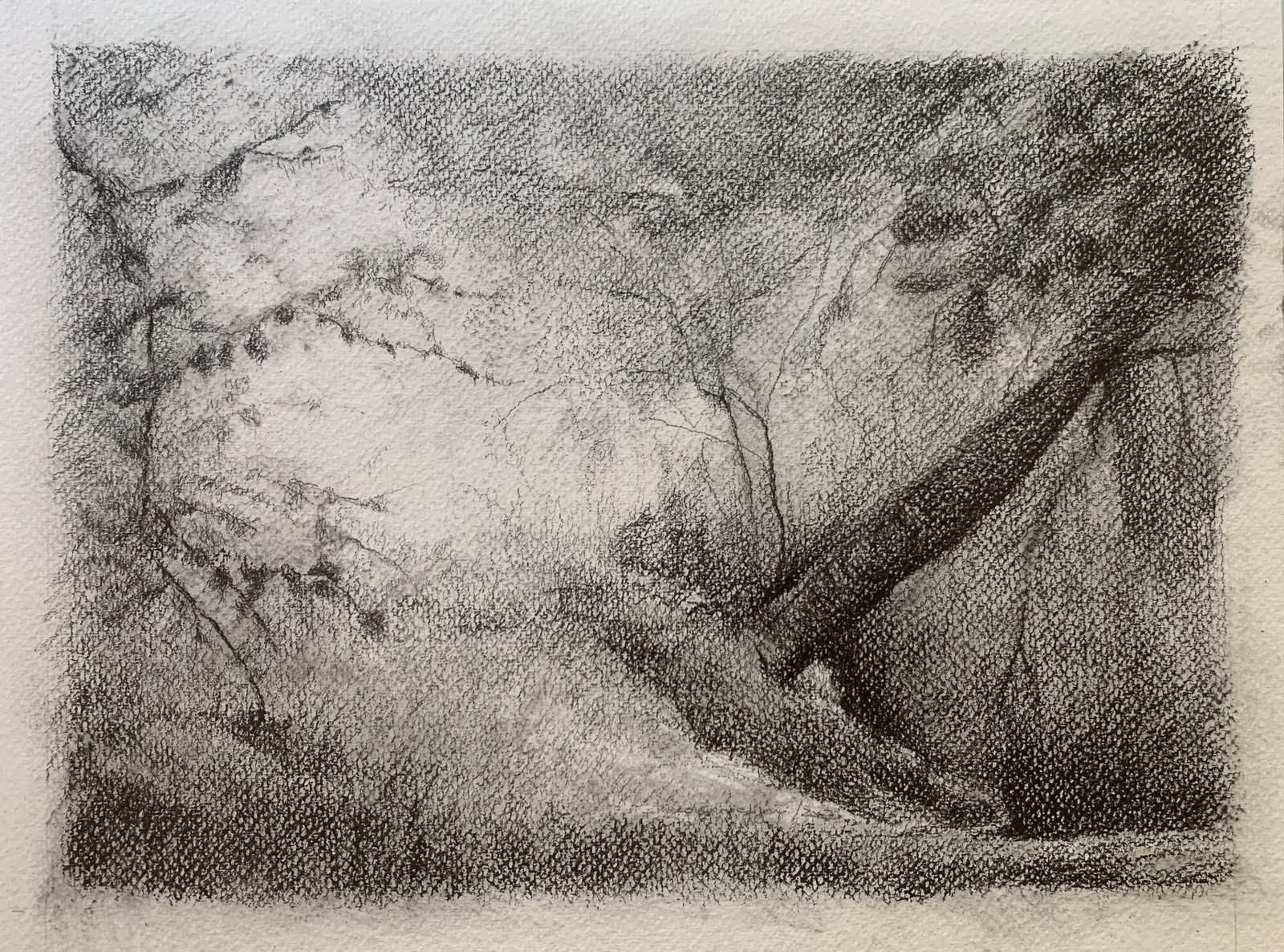 Um amanhecer, 2020 Grafite s/papel 24x32cm C/ moldura - 200€